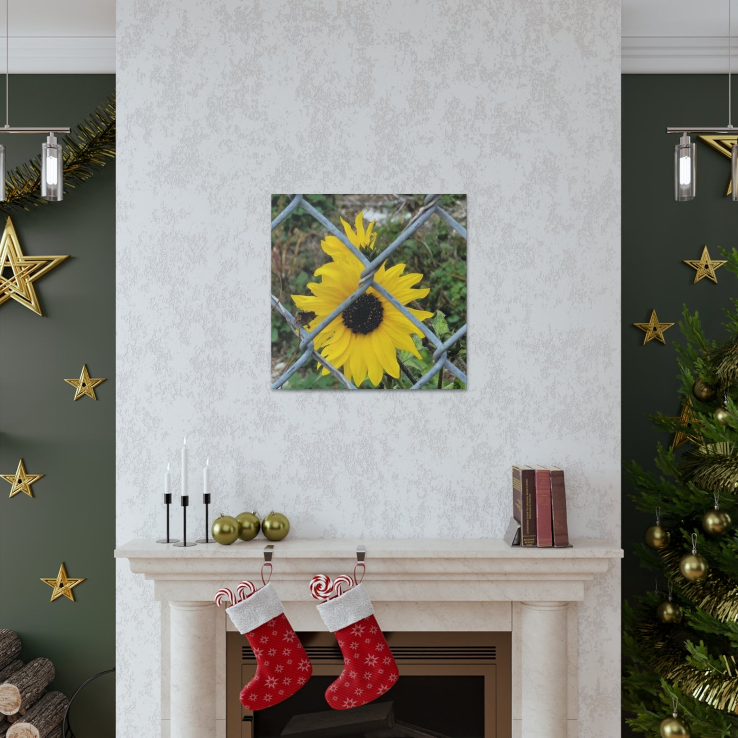 Sunflower Behind A Fence Canvas Gallery Wraps