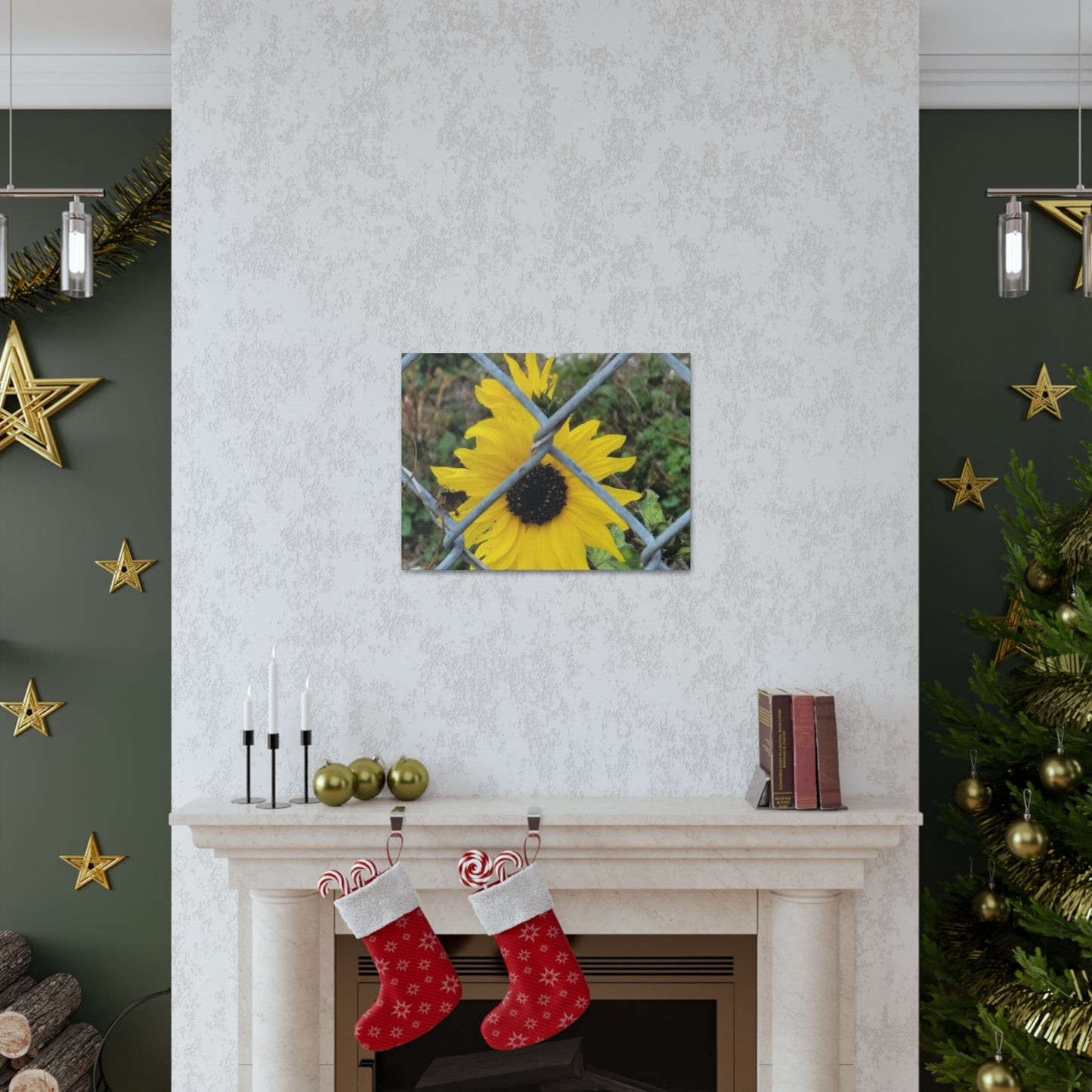 Sunflower Behind A Fence Canvas Gallery Wraps