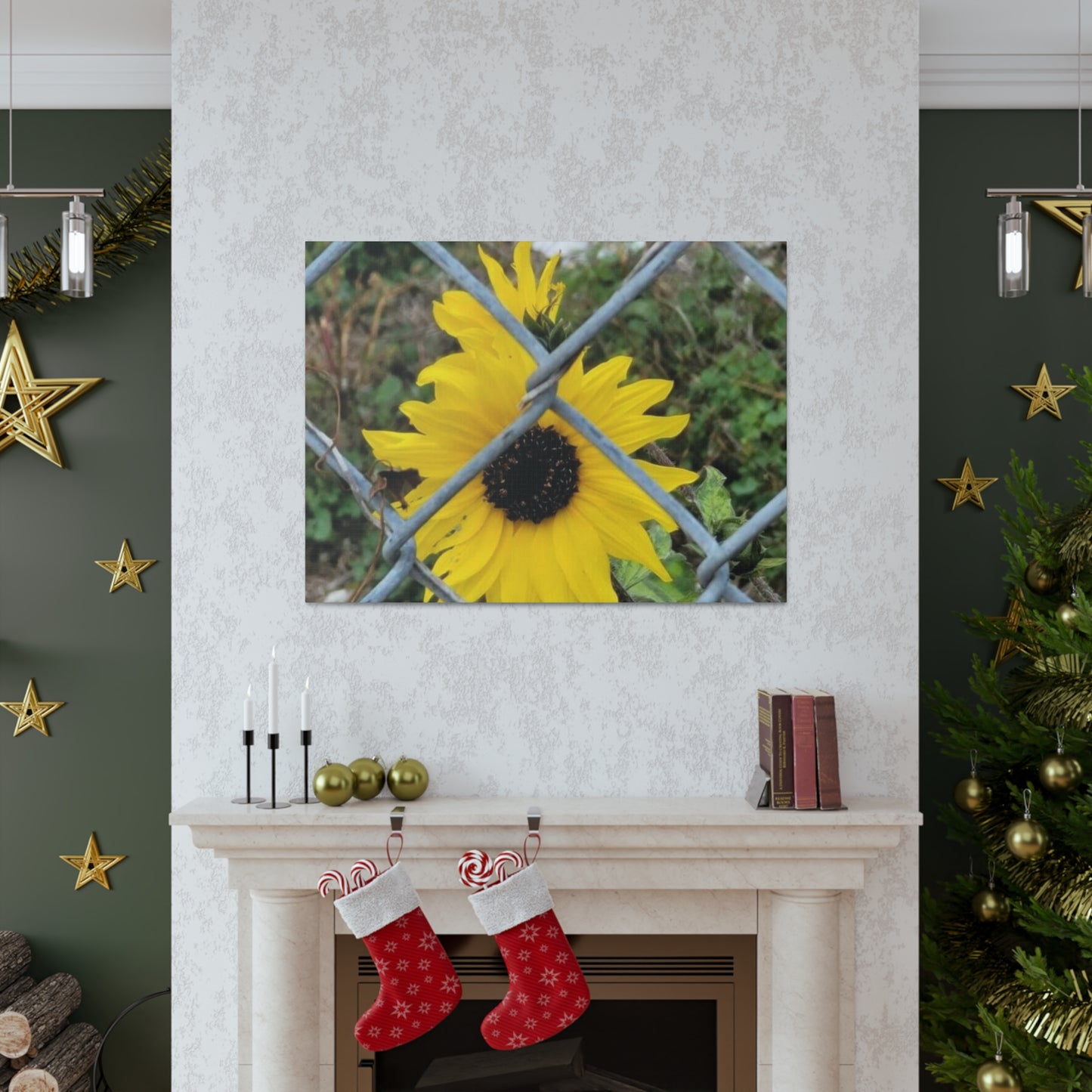 Sunflower Behind A Fence Canvas Gallery Wraps