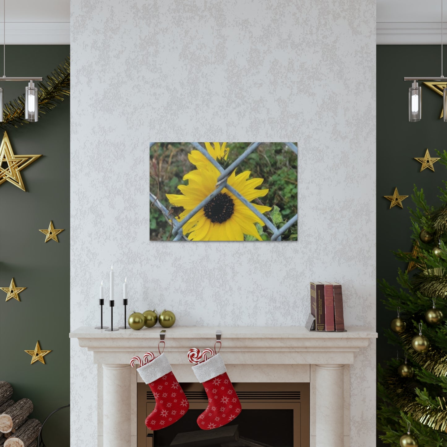 Sunflower Behind A Fence Canvas Gallery Wraps
