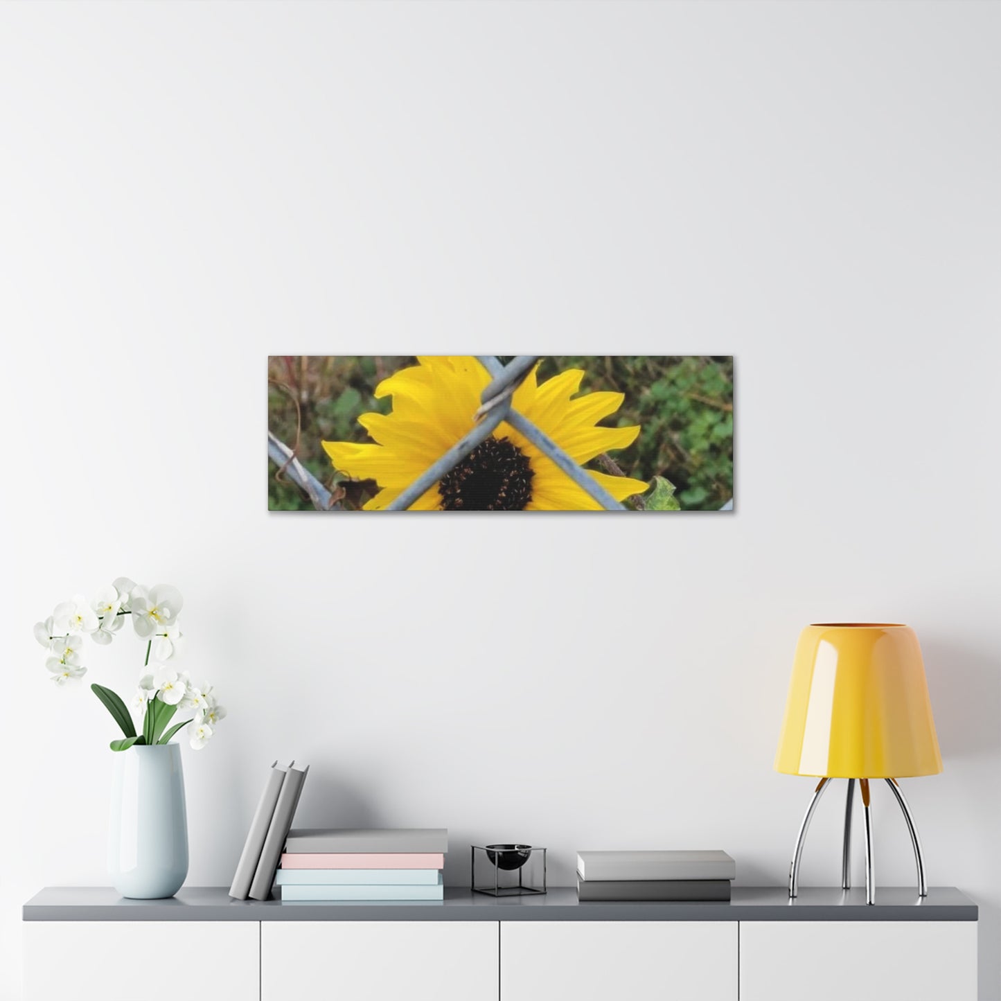 Sunflower Behind A Fence Canvas Gallery Wraps
