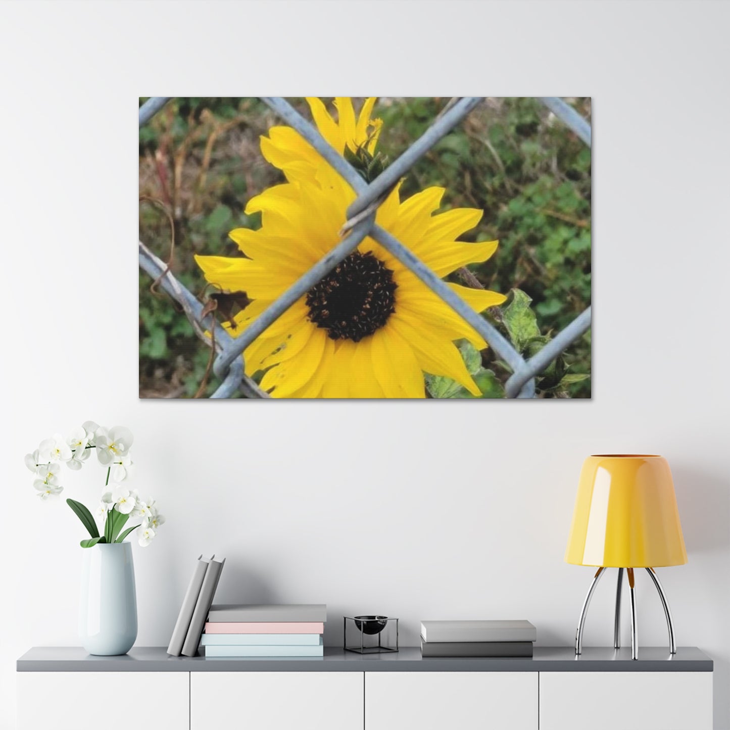 Sunflower Behind A Fence Canvas Gallery Wraps