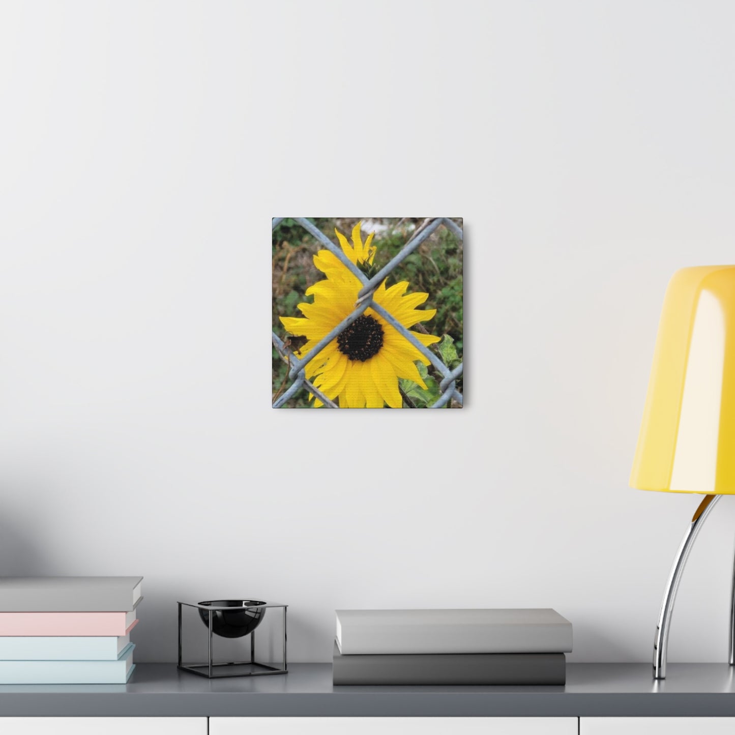 Sunflower Behind A Fence Canvas Gallery Wraps