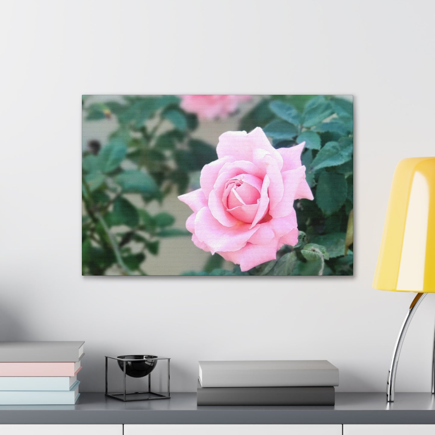 Focus on a Pink Rose | High Bloom Collection | Wall Art Print | Life By Ortavia