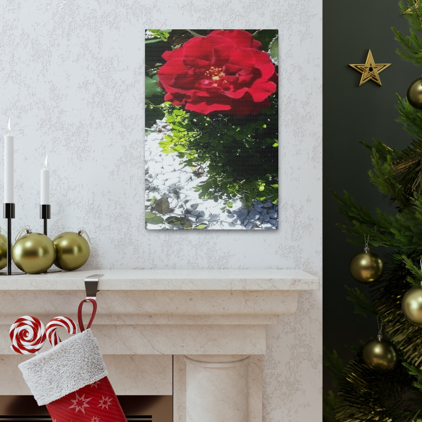Europeana Red Rose | Wall Art Print | High Bloom Collection | Life By Ortavia