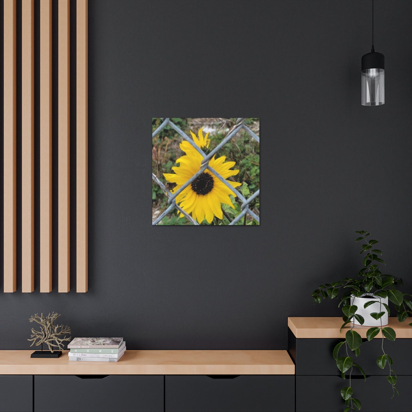 Sunflower Behind A Fence Canvas Gallery Wraps