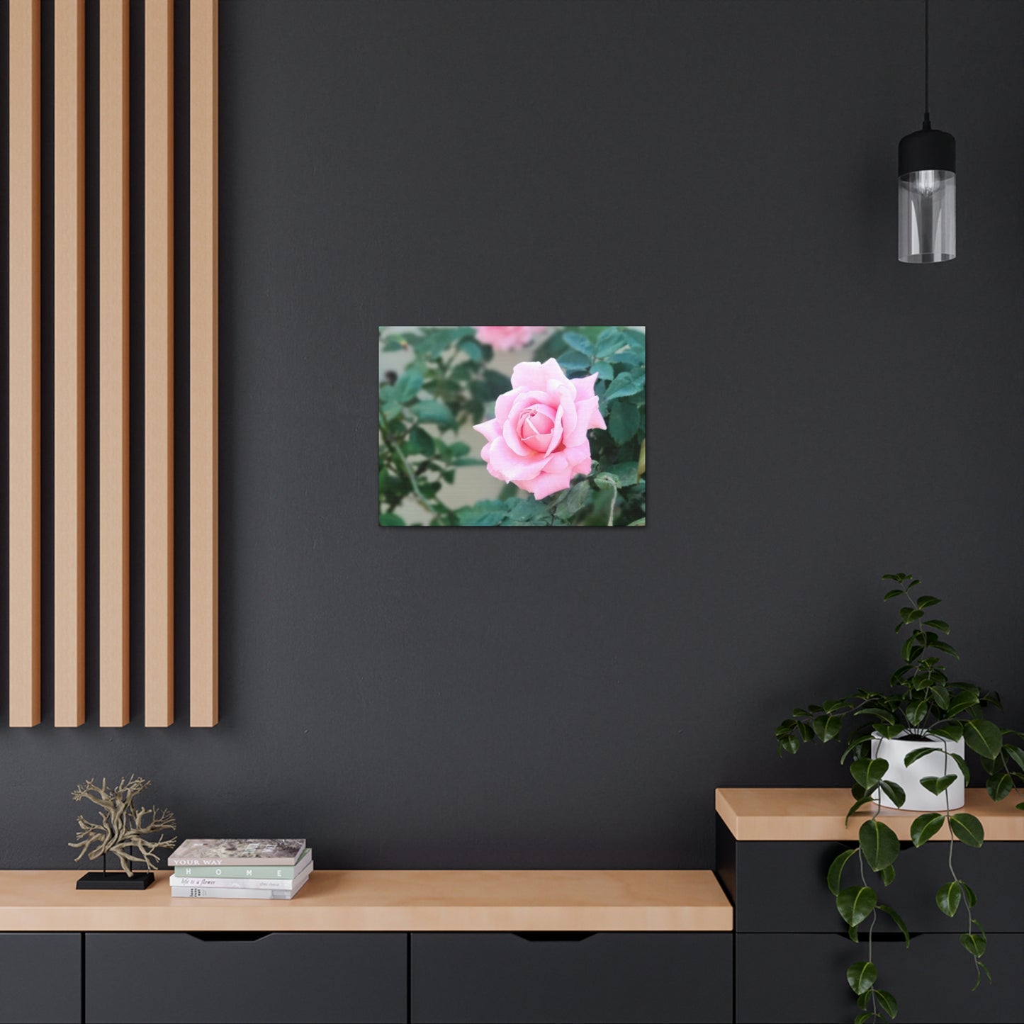 Focus on a Pink Rose | High Bloom Collection | Wall Art Print | Life By Ortavia