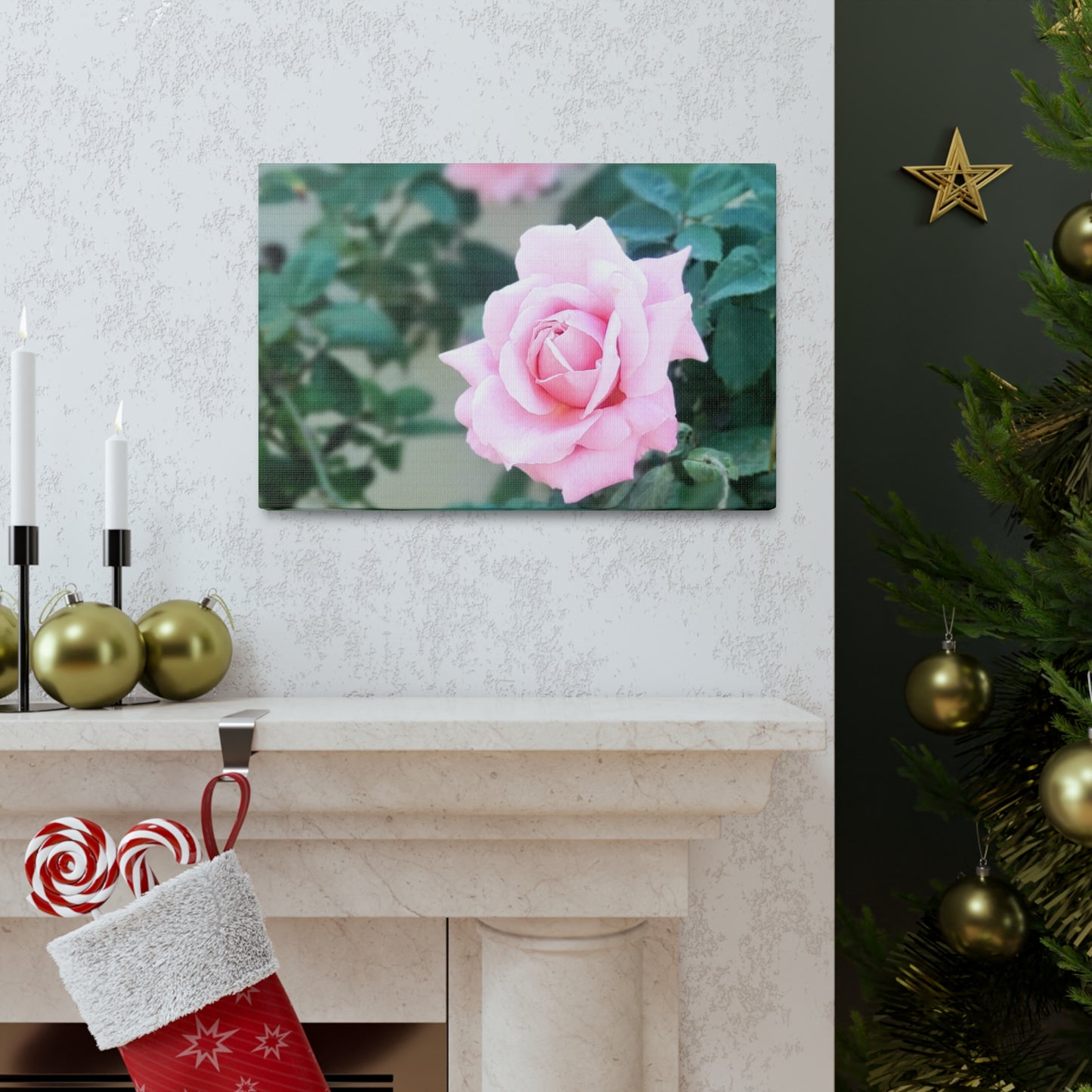 Focus on a Pink Rose | High Bloom Collection | Wall Art Print | Life By Ortavia
