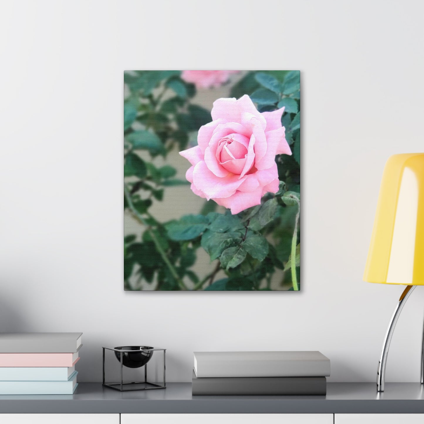 Focus on a Pink Rose | High Bloom Collection | Wall Art Print | Life By Ortavia
