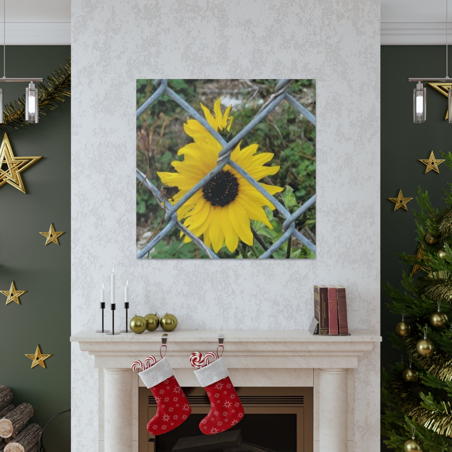Sunflower Behind A Fence Canvas Gallery Wraps