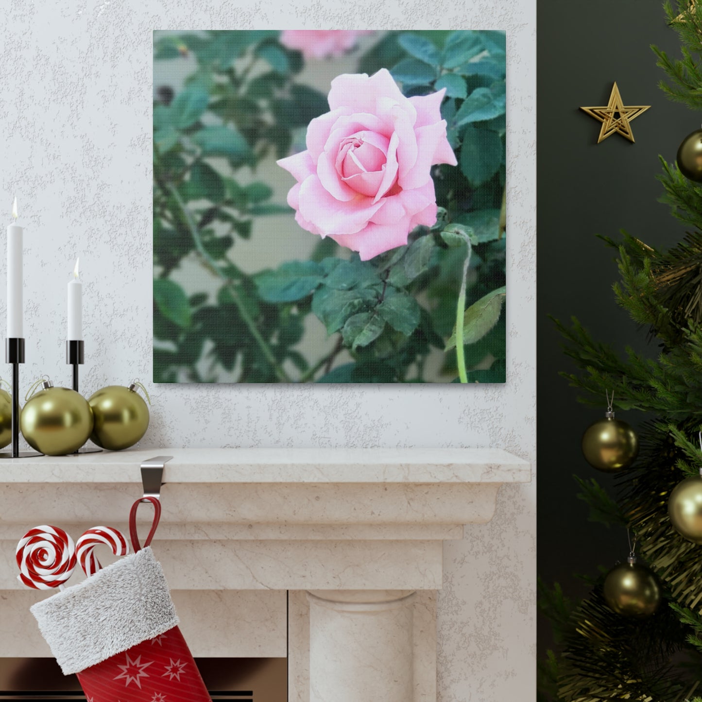 Focus on a Pink Rose | High Bloom Collection | Wall Art Print | Life By Ortavia
