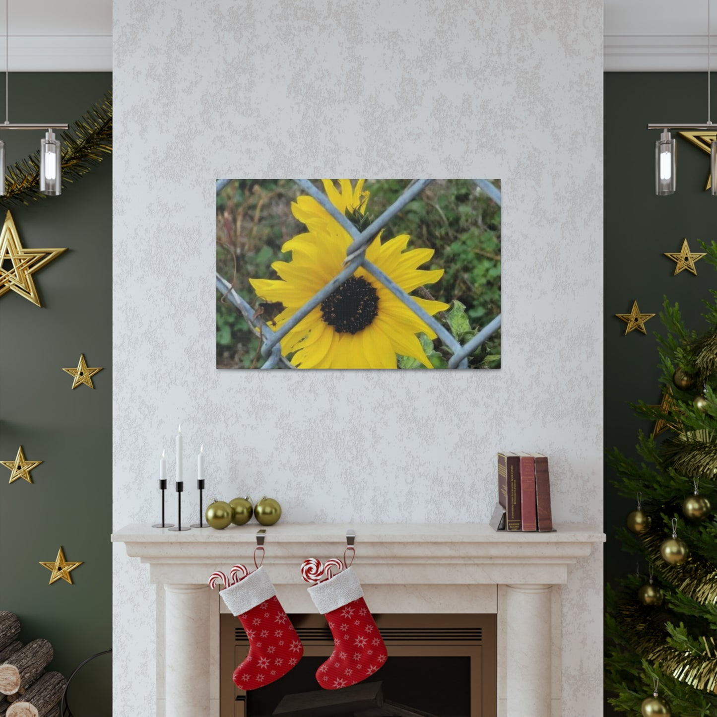 Sunflower Behind A Fence Canvas Gallery Wraps