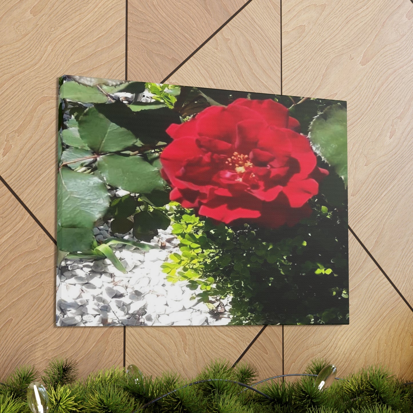 Europeana Red Rose | Wall Art Print | High Bloom Collection | Life By Ortavia