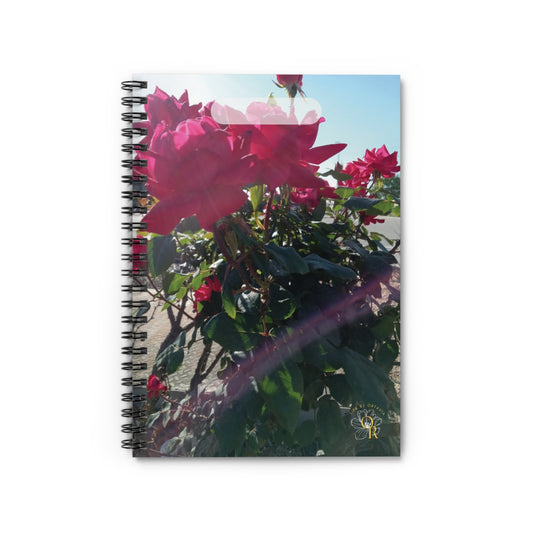 Roses in Sunlight | Spiral Notebook 118 pg Ruled