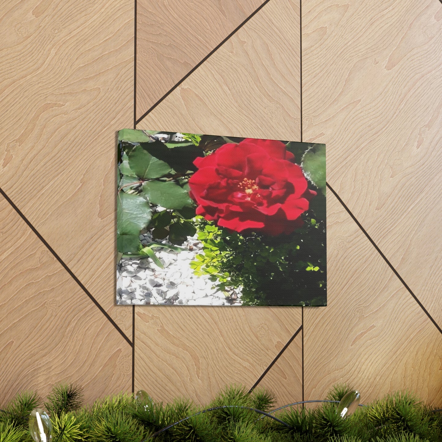 Europeana Red Rose | Wall Art Print | High Bloom Collection | Life By Ortavia