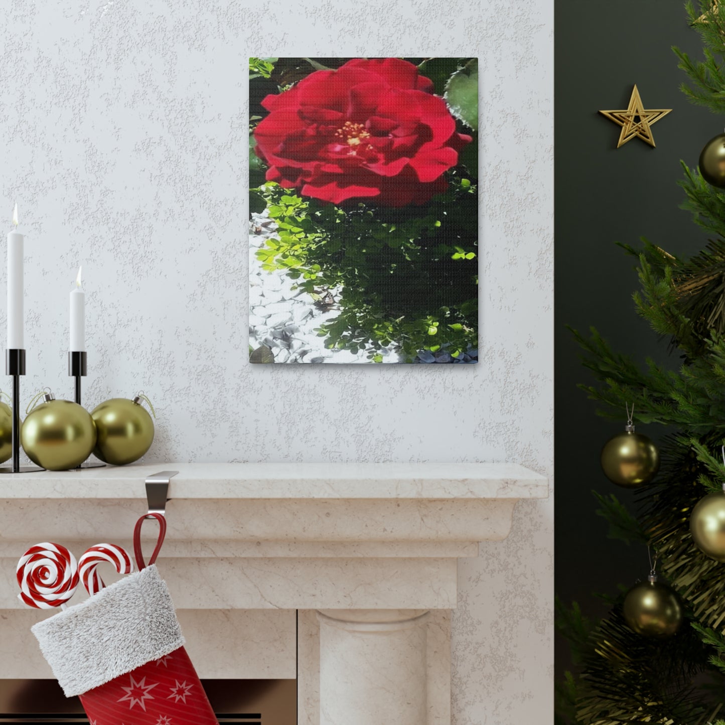 Europeana Red Rose | Wall Art Print | High Bloom Collection | Life By Ortavia