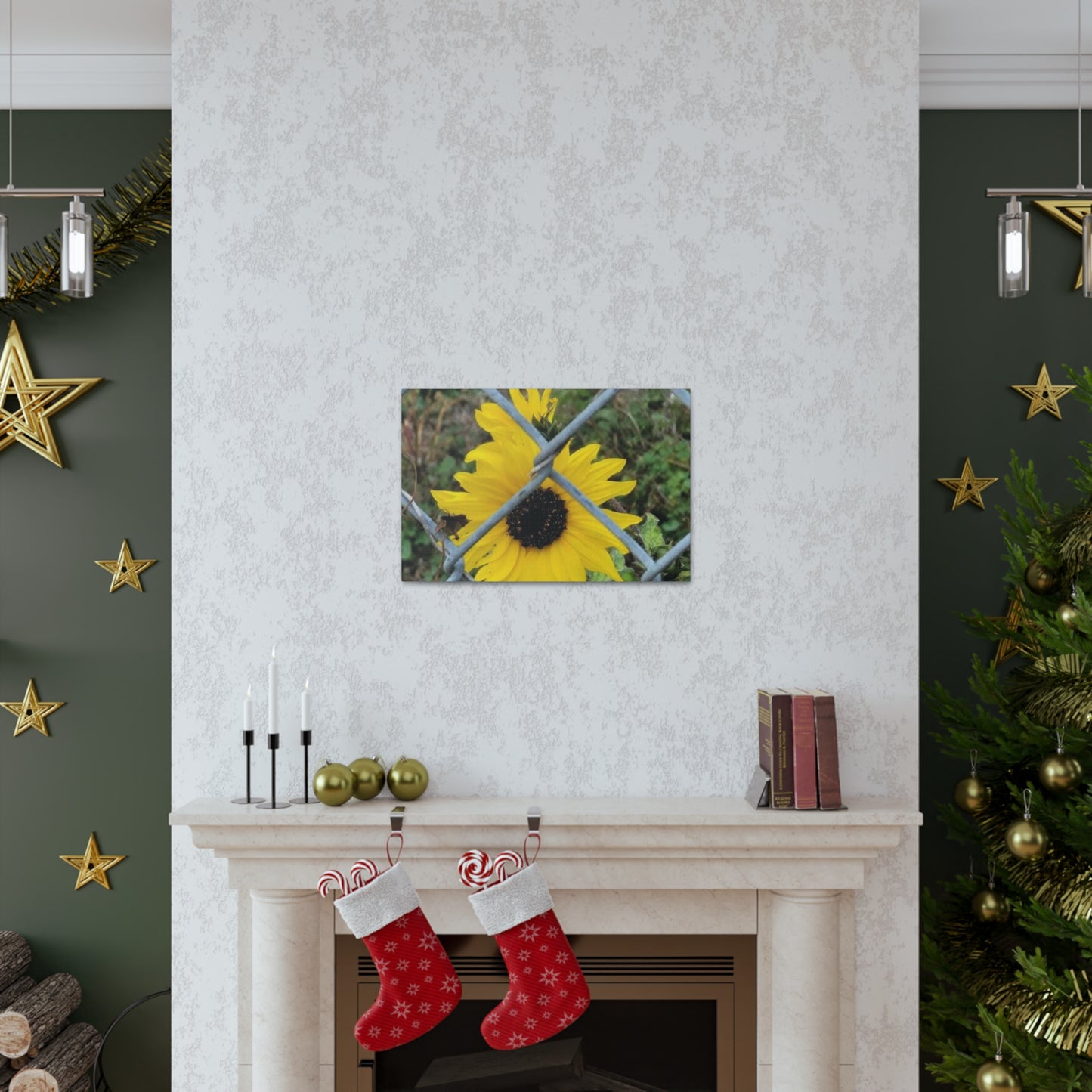 Sunflower Behind A Fence Canvas Gallery Wraps