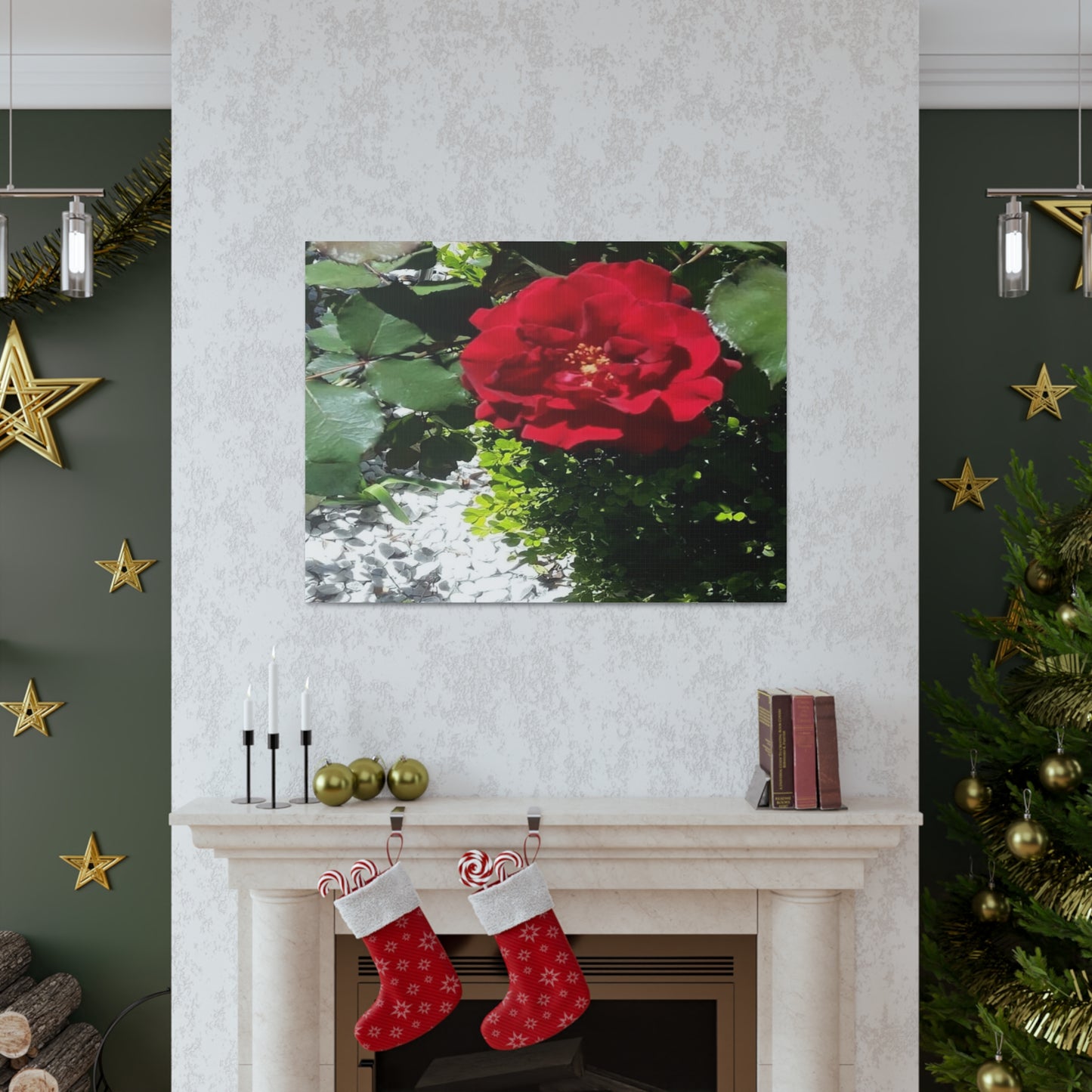 Europeana Red Rose | Wall Art Print | High Bloom Collection | Life By Ortavia