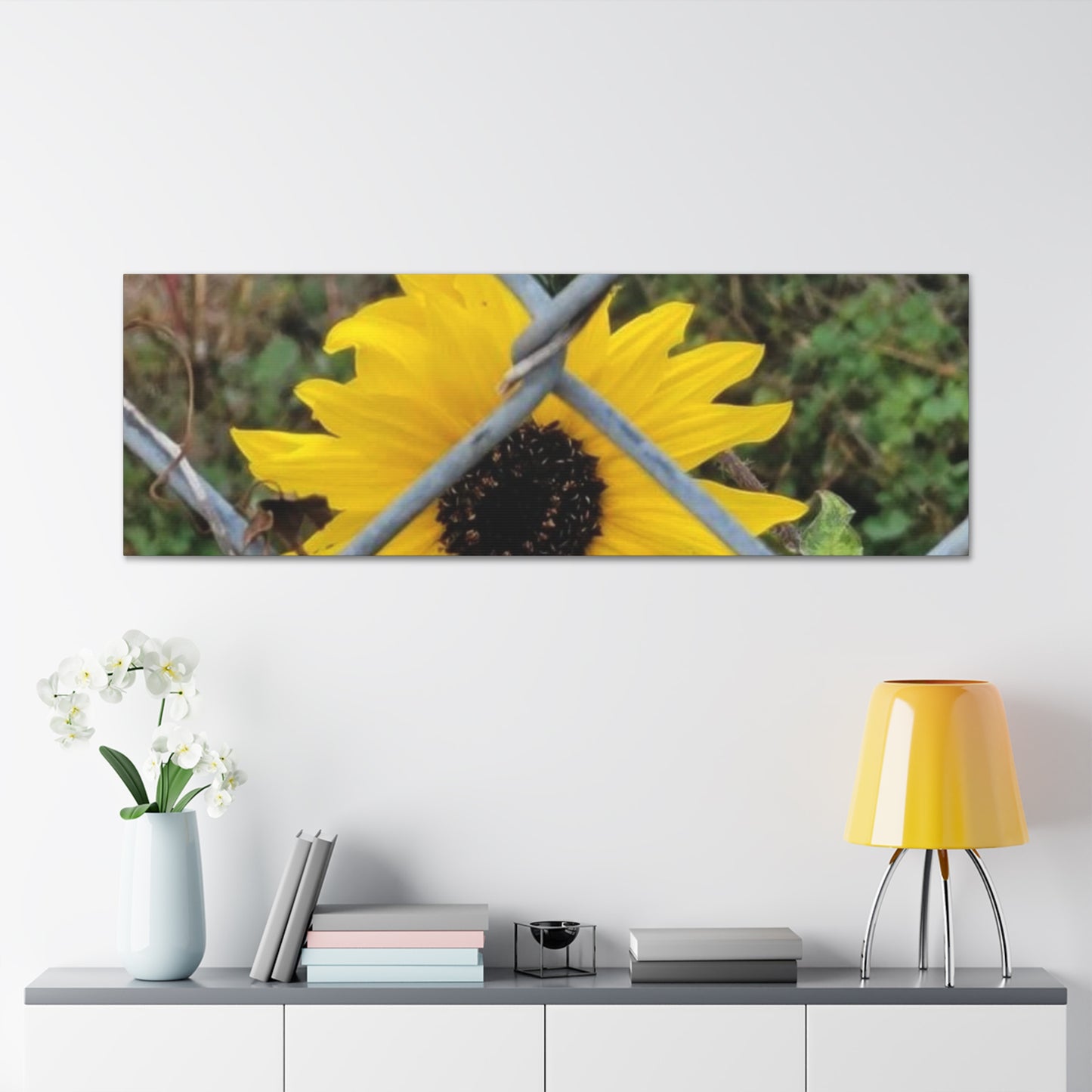 Sunflower Behind A Fence Canvas Gallery Wraps