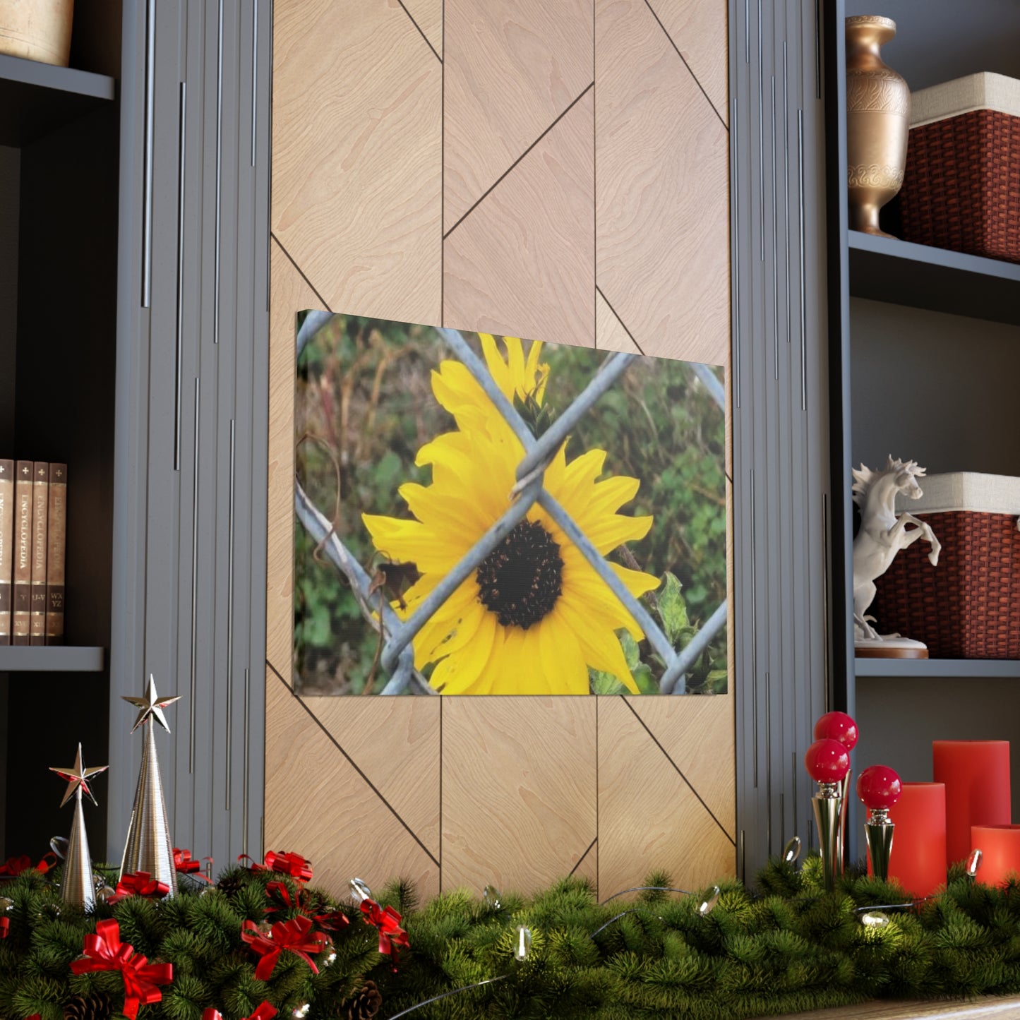 Sunflower Behind A Fence Canvas Gallery Wraps