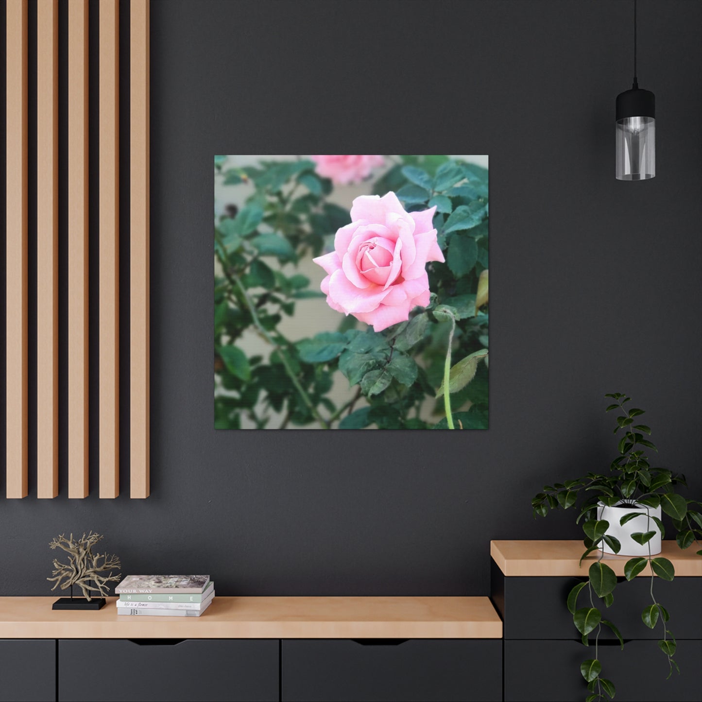 Focus on a Pink Rose | High Bloom Collection | Wall Art Print | Life By Ortavia