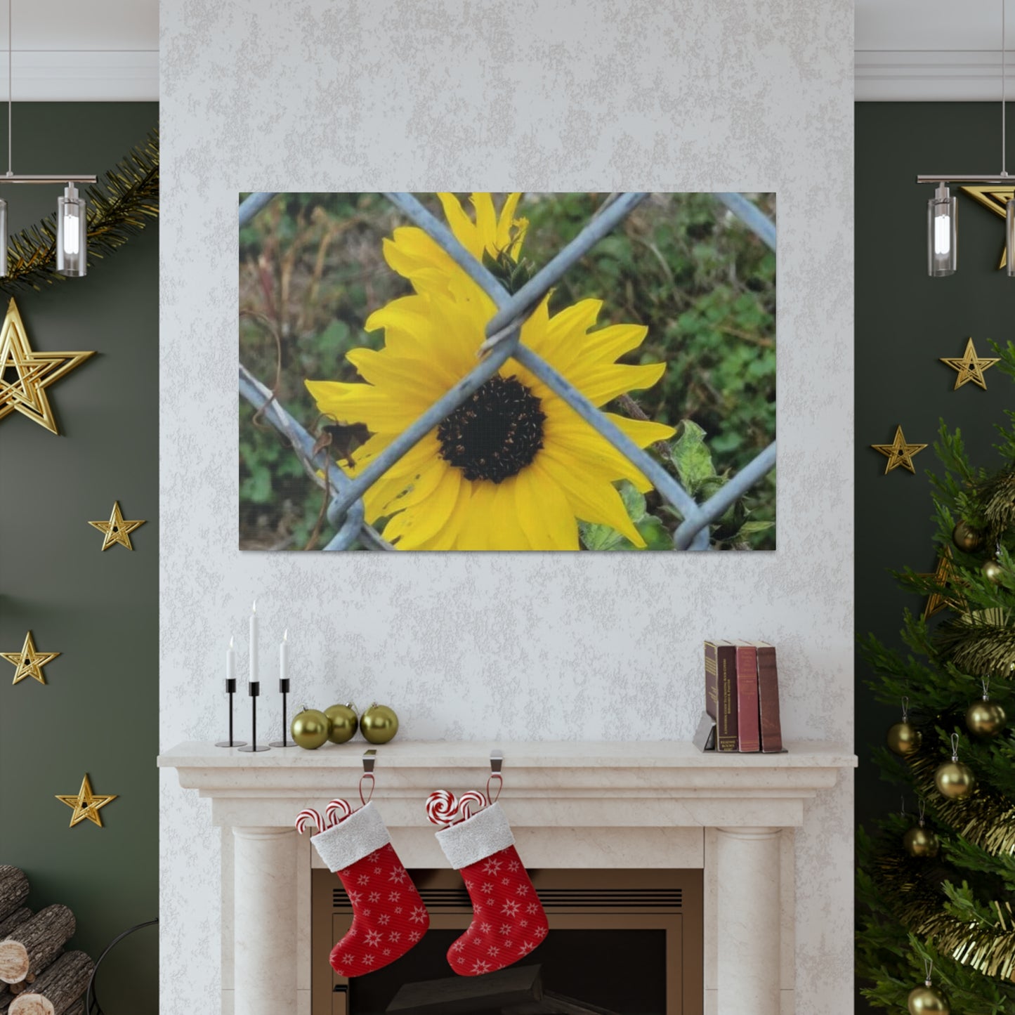 Sunflower Behind A Fence Canvas Gallery Wraps