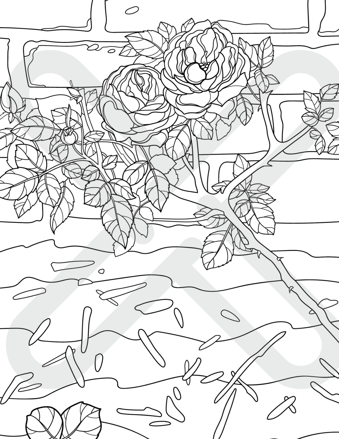 Printable Tale of Two Roses Coloring Page