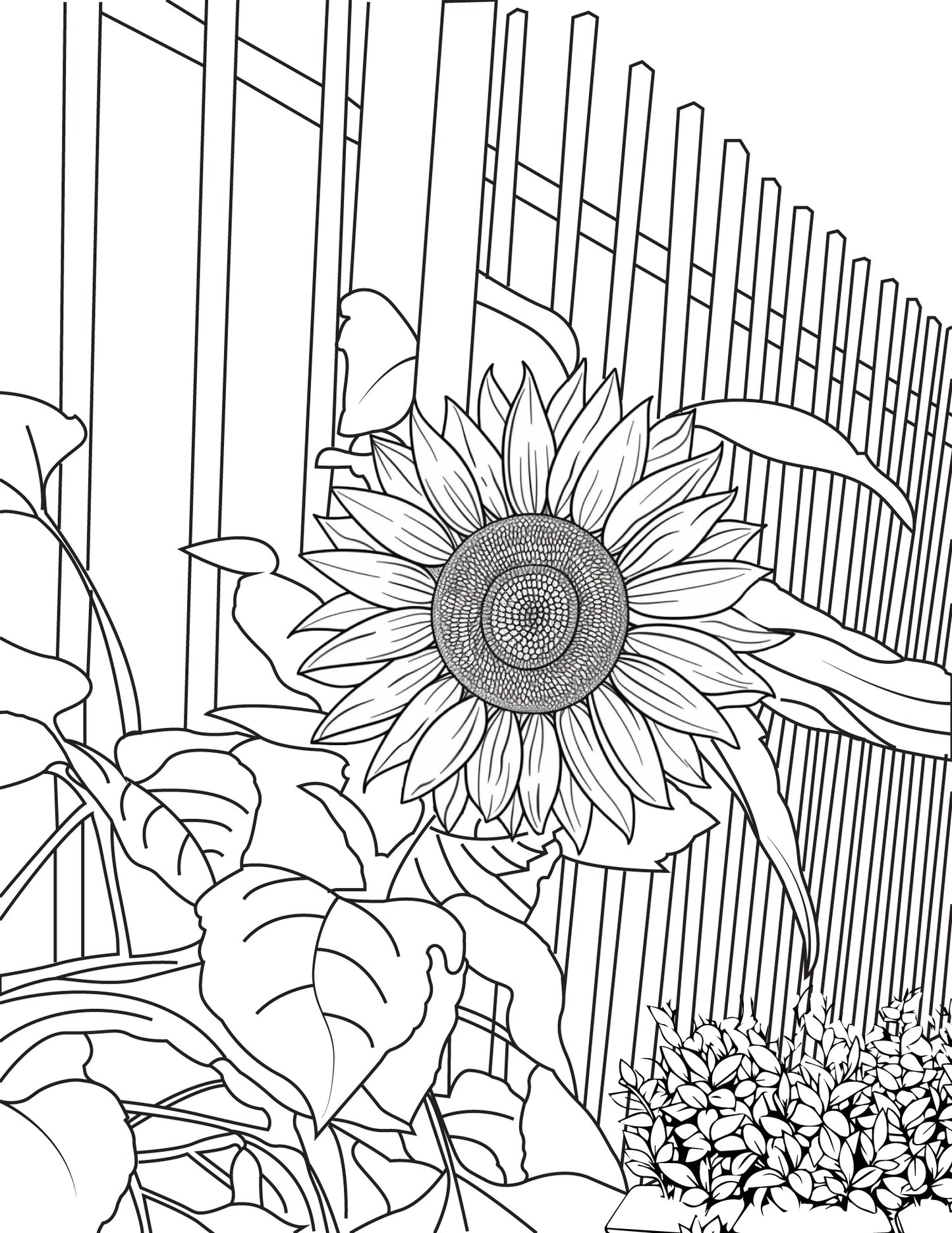 Book of Flowers