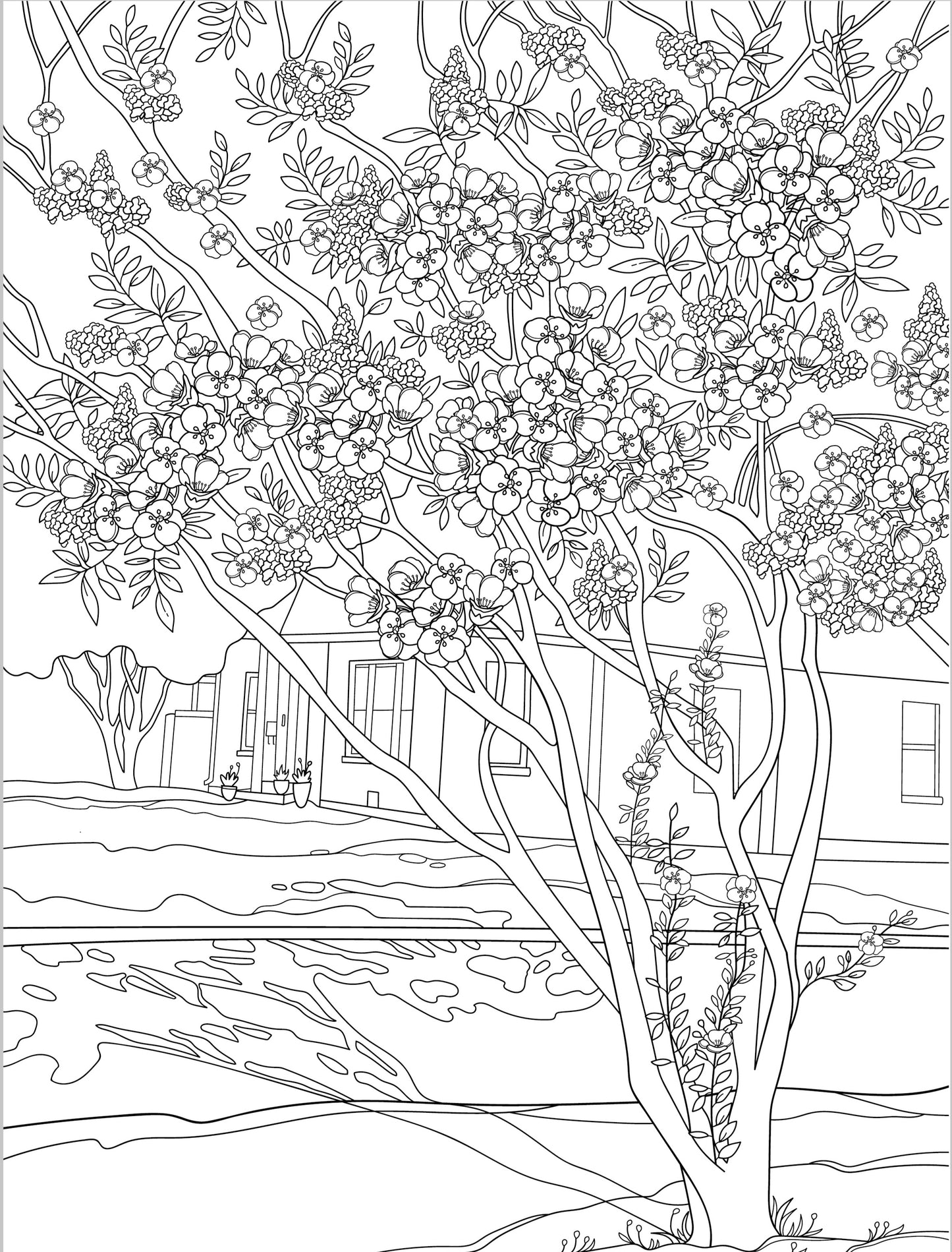 Book of Flowers