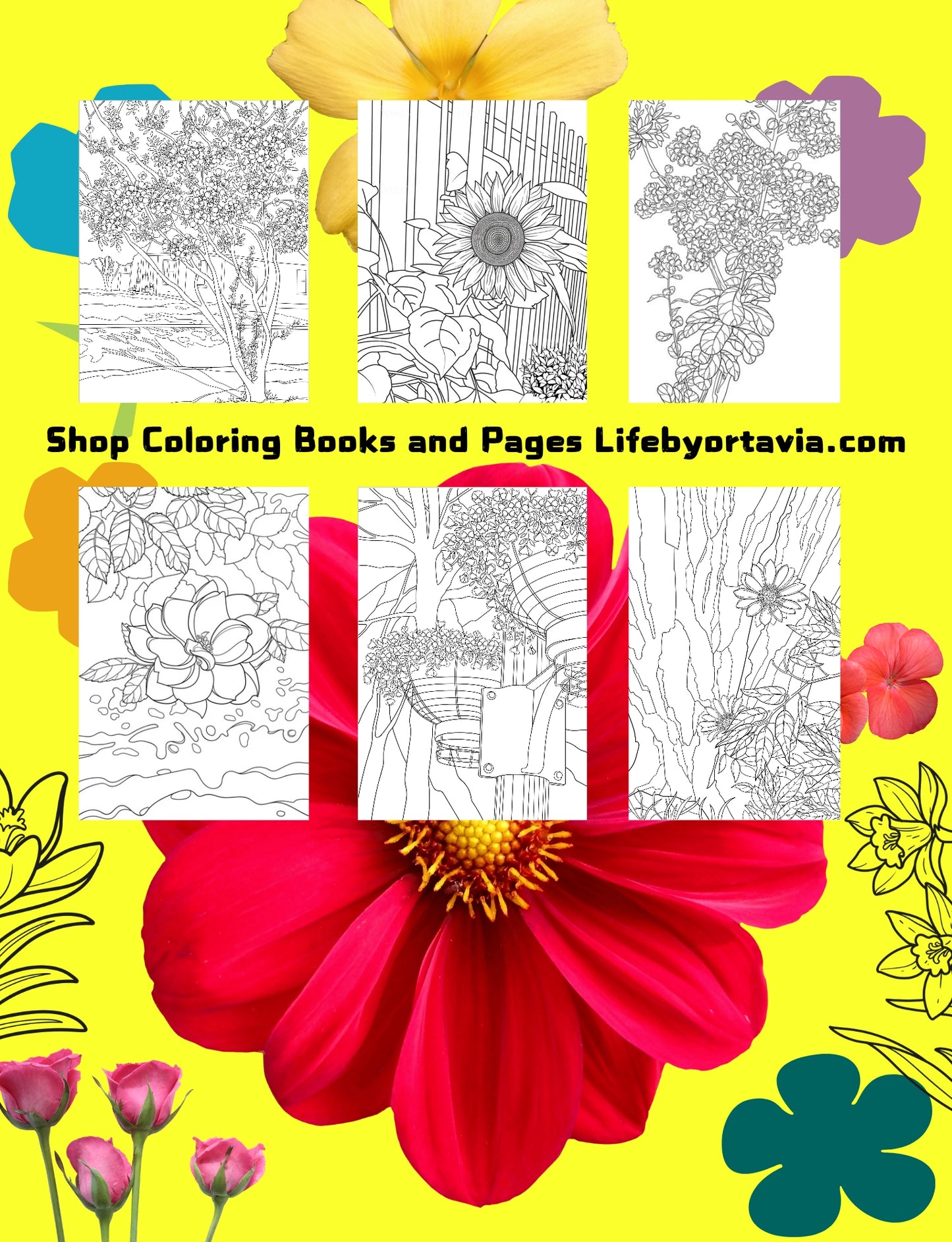 Book of Flowers