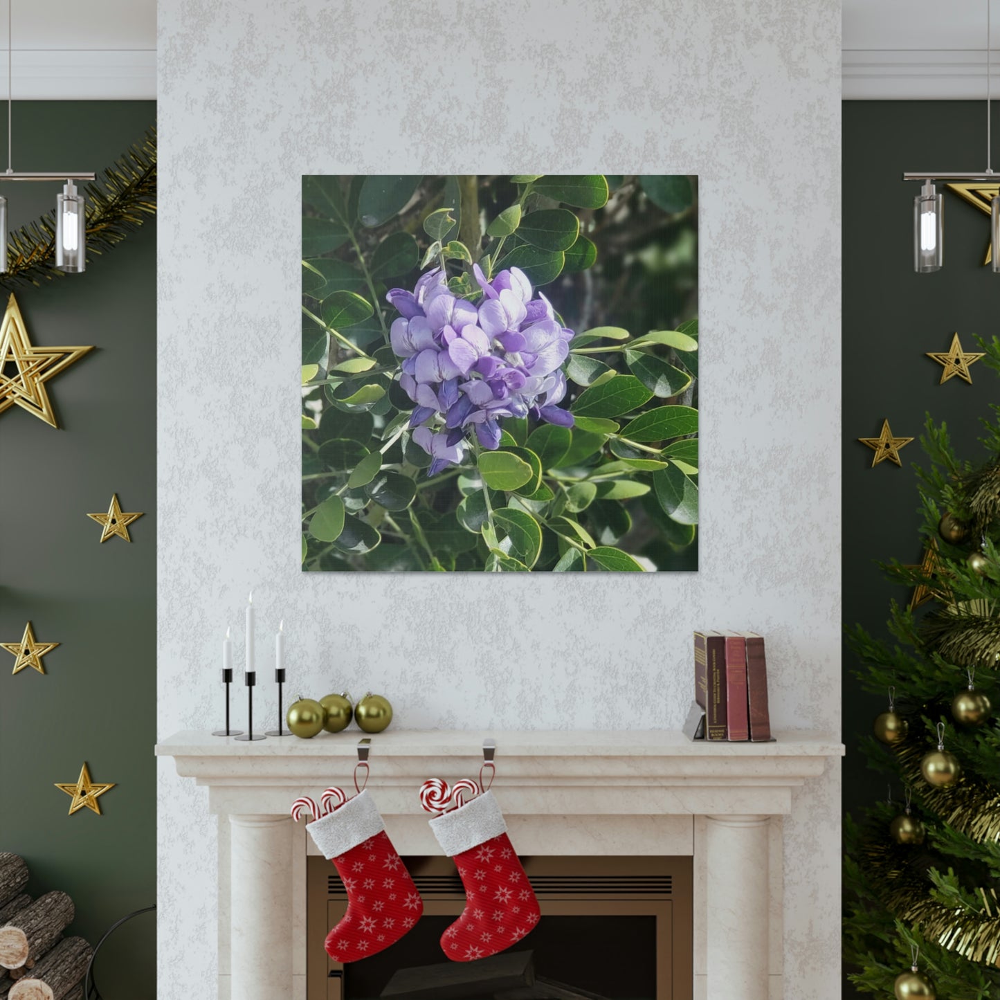 Purple Texas Mountain Laurel | Wall Art Canvas
