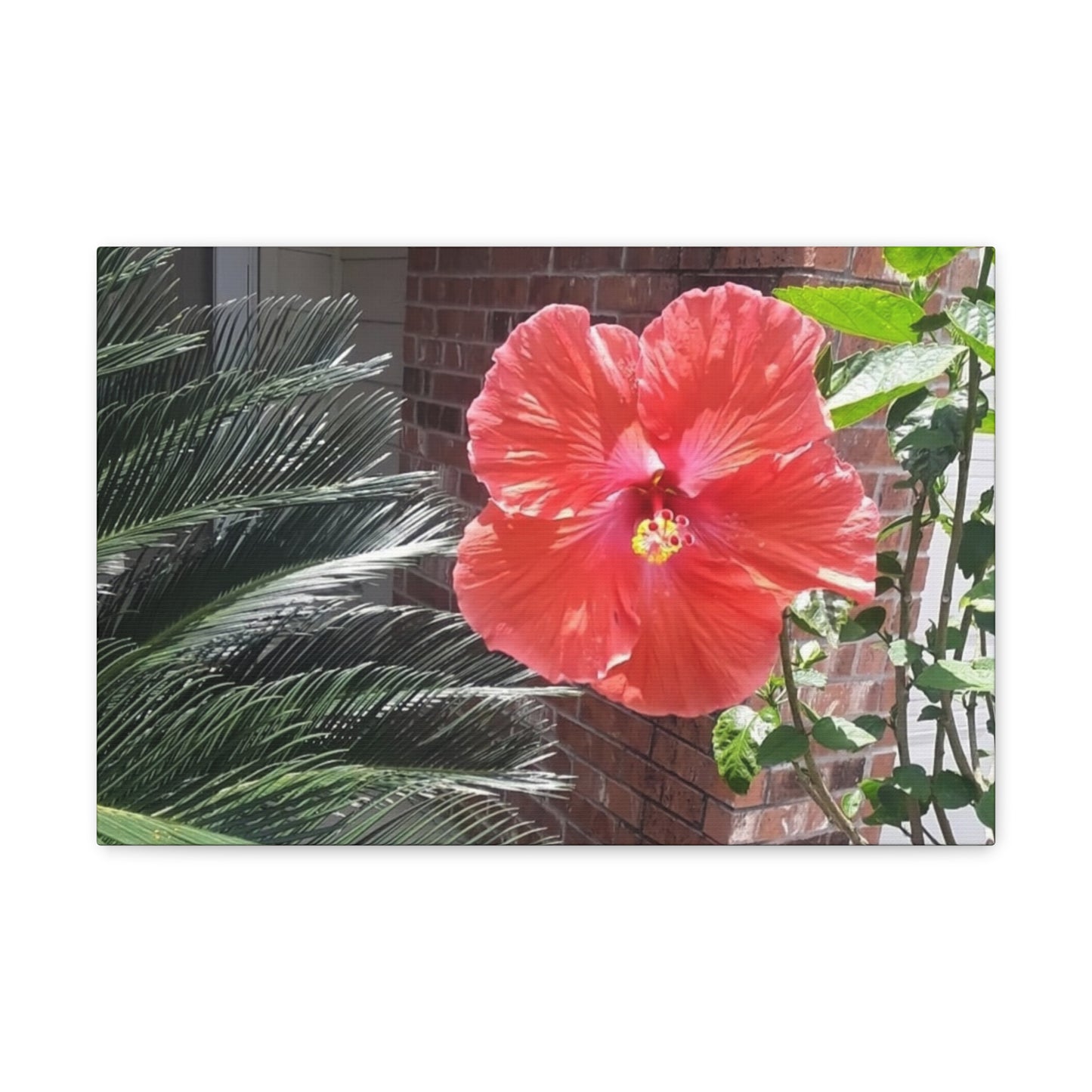 Art Prints & Wall Art, Gallery Canvas with Peach Hibiscus Flower