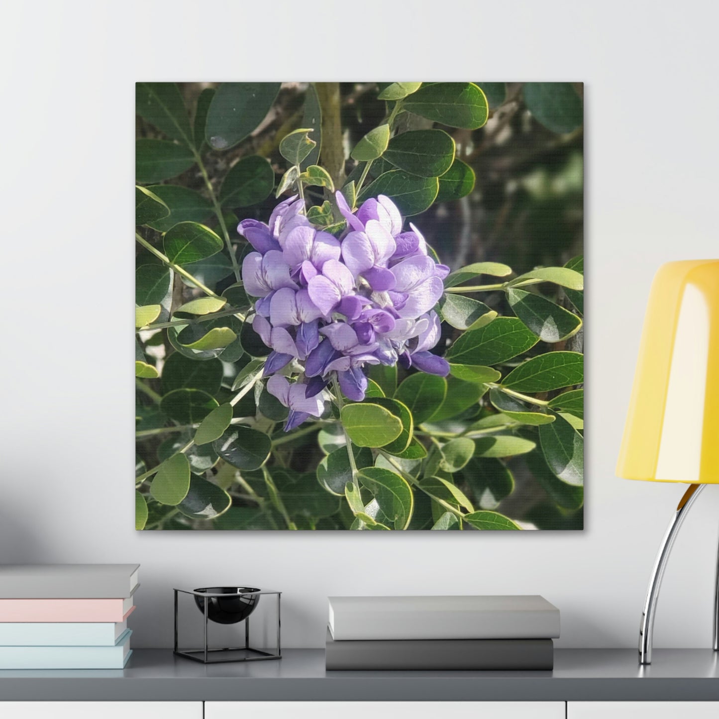 Purple Texas Mountain Laurel | Wall Art Canvas