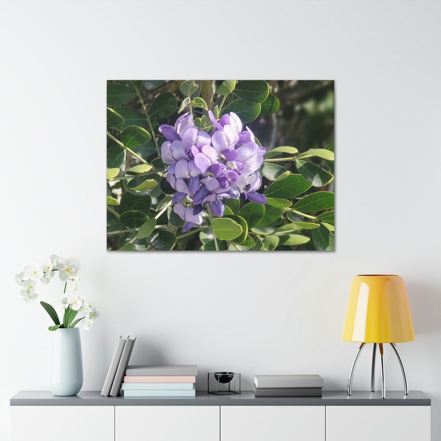 Purple Texas Mountain Laurel | Wall Art Canvas