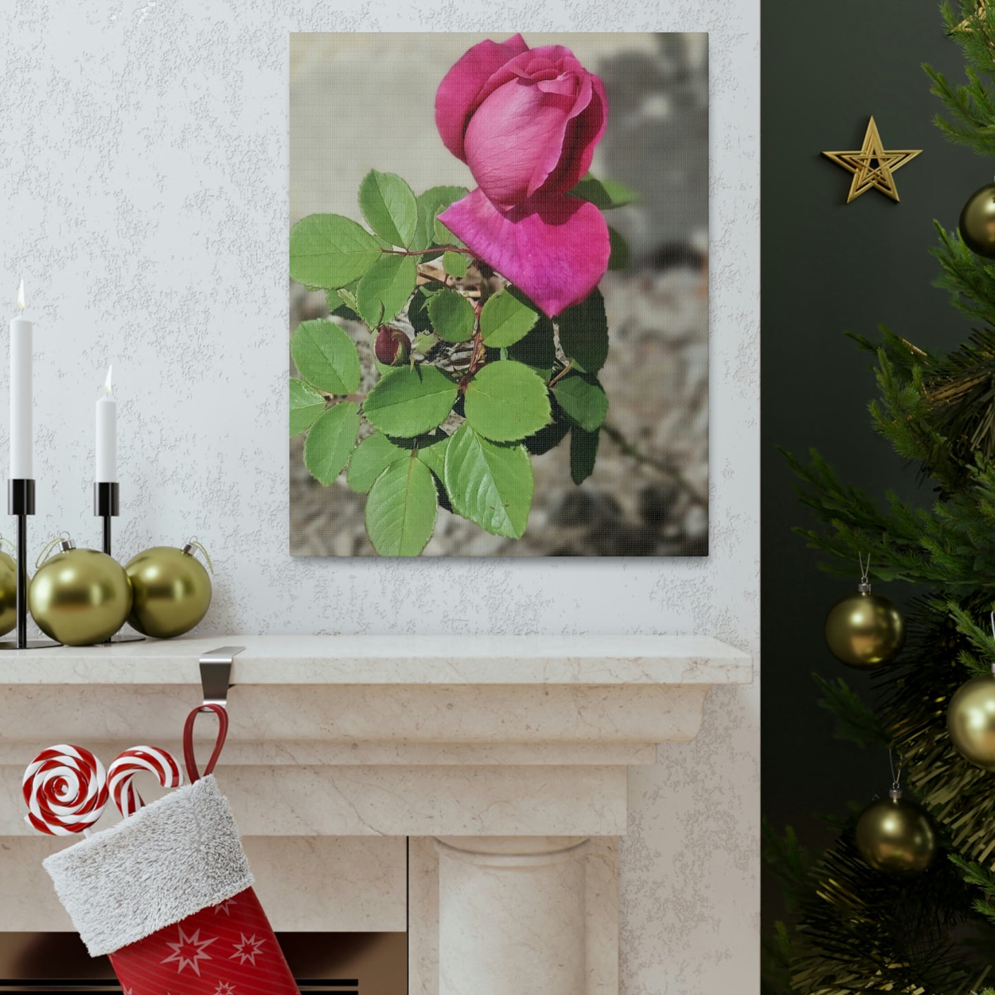 Dear Pink Rosa | High Bloom Collection | Canvas | Life By Ortavia