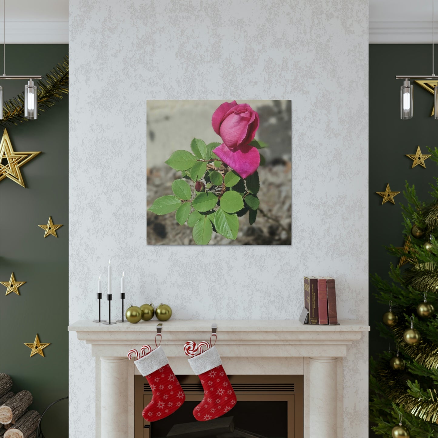 Dear Pink Rosa | High Bloom Collection | Canvas | Life By Ortavia