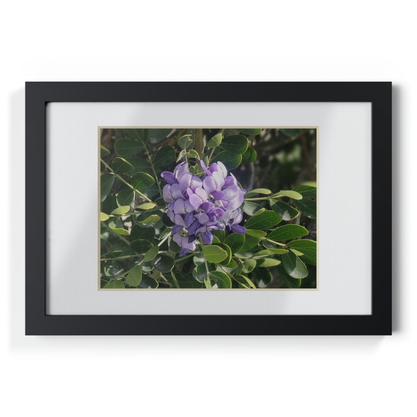 Framed Posters, Black