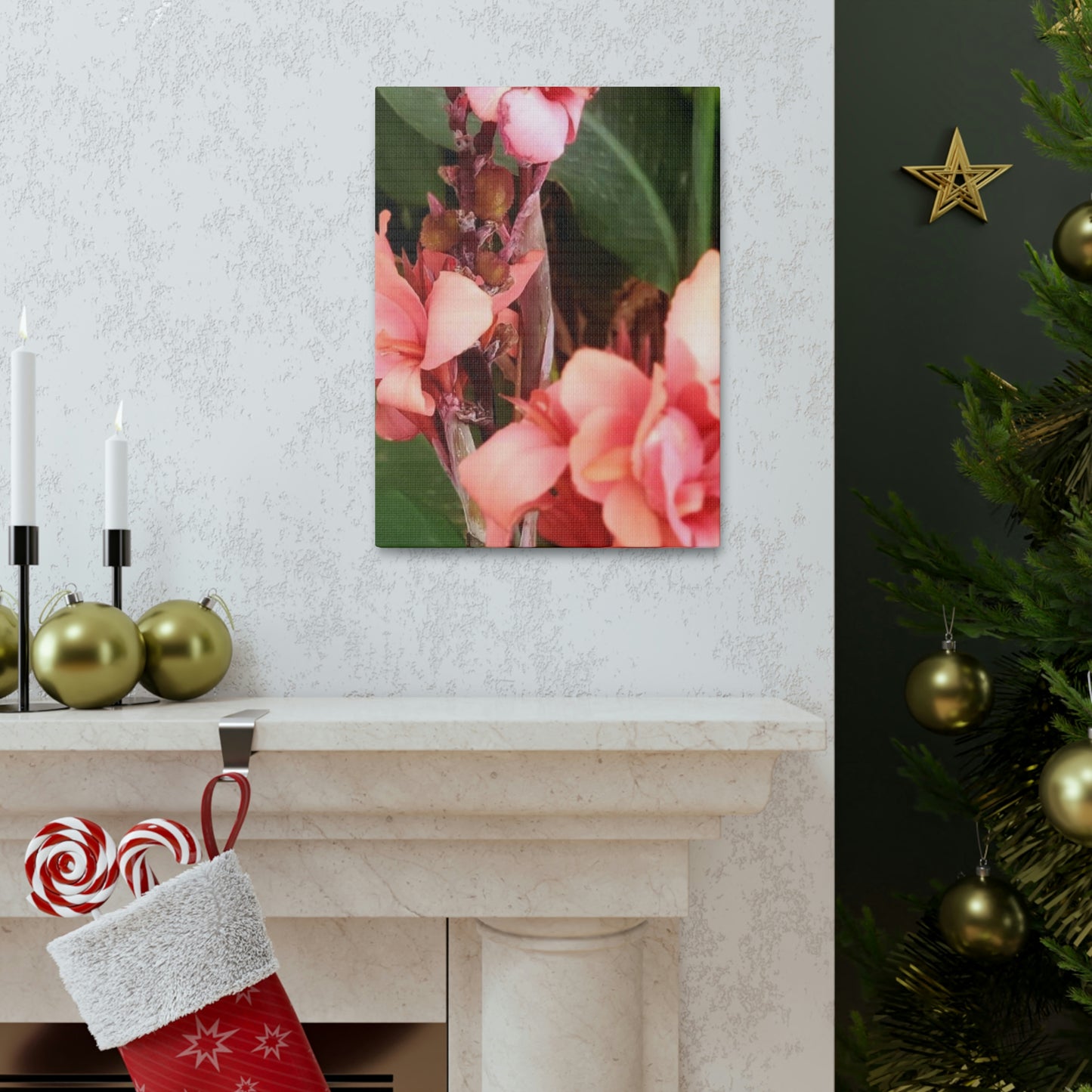 Art Prints & Wall Art, Canvas Gallery with Pink Canna Flower