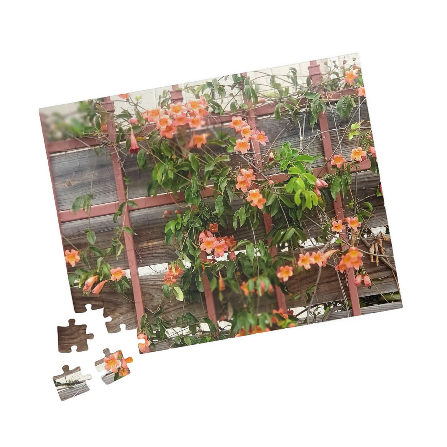 Flowers On A Rugged Fence | Puzzle | 110 252 500 1014 pc | High Bloom Collection | Life By Ortavia