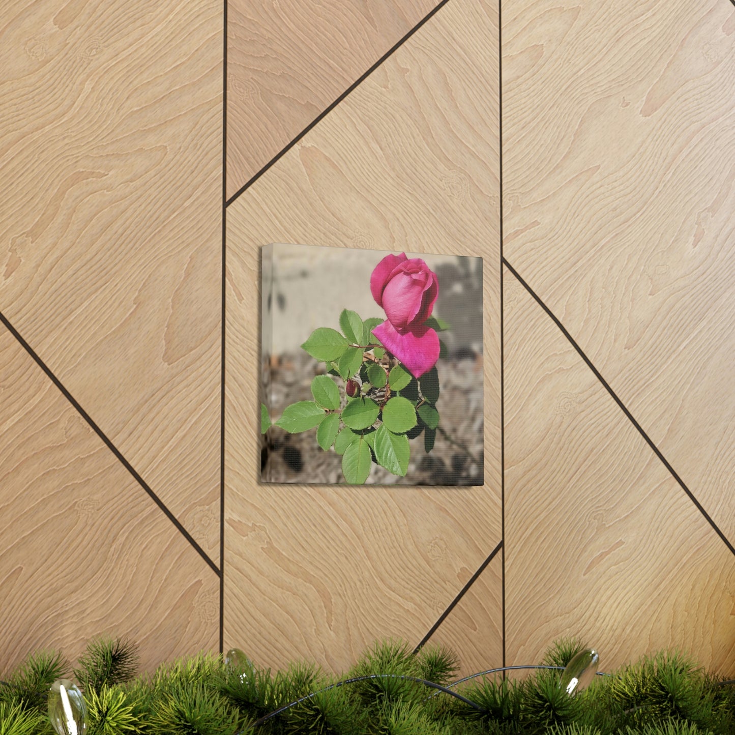 Dear Pink Rosa | High Bloom Collection | Canvas | Life By Ortavia