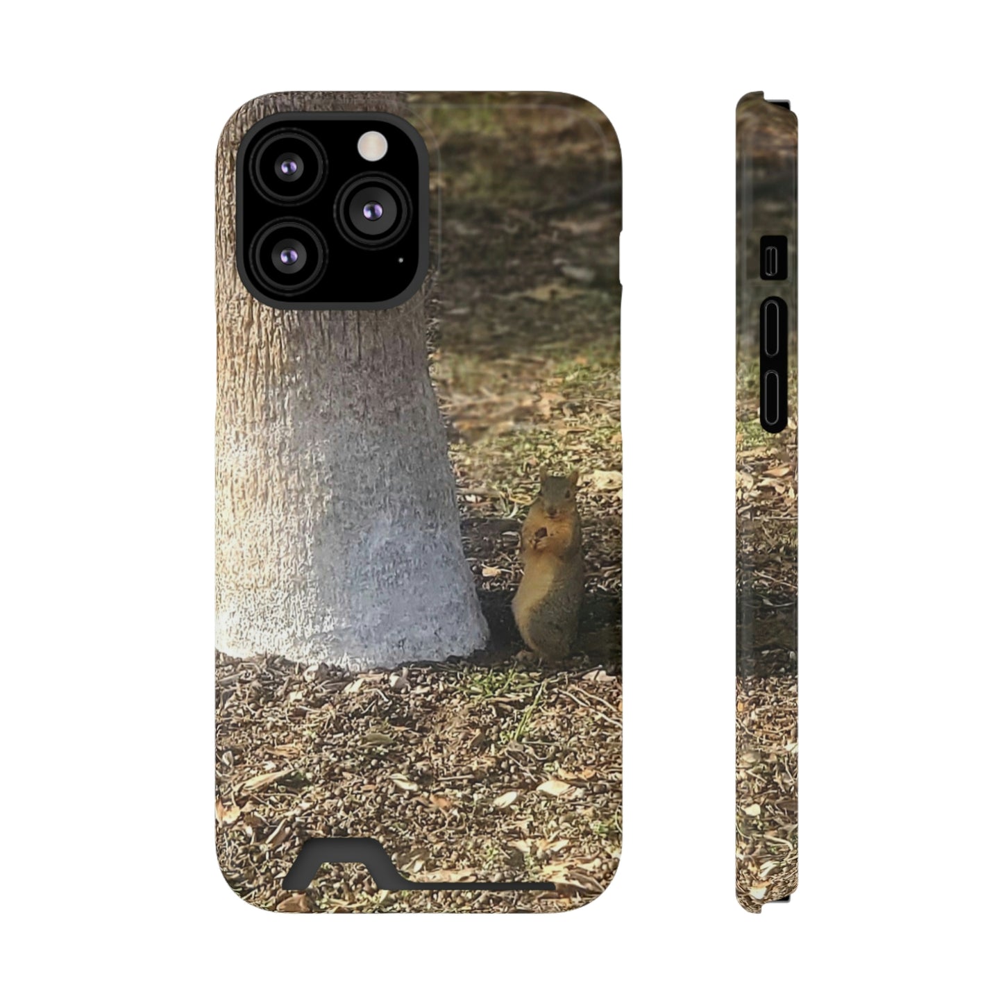 Squirrel and A Nut | Phone Case with Card Holder | Urban Geographic Collection | Life By Ortavia