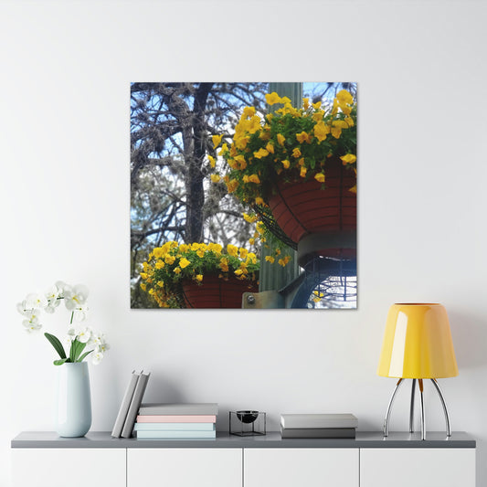 Yellow Pansies Downtown | Wall Art Canvas | High Bloom Collection | Life By Ortavia