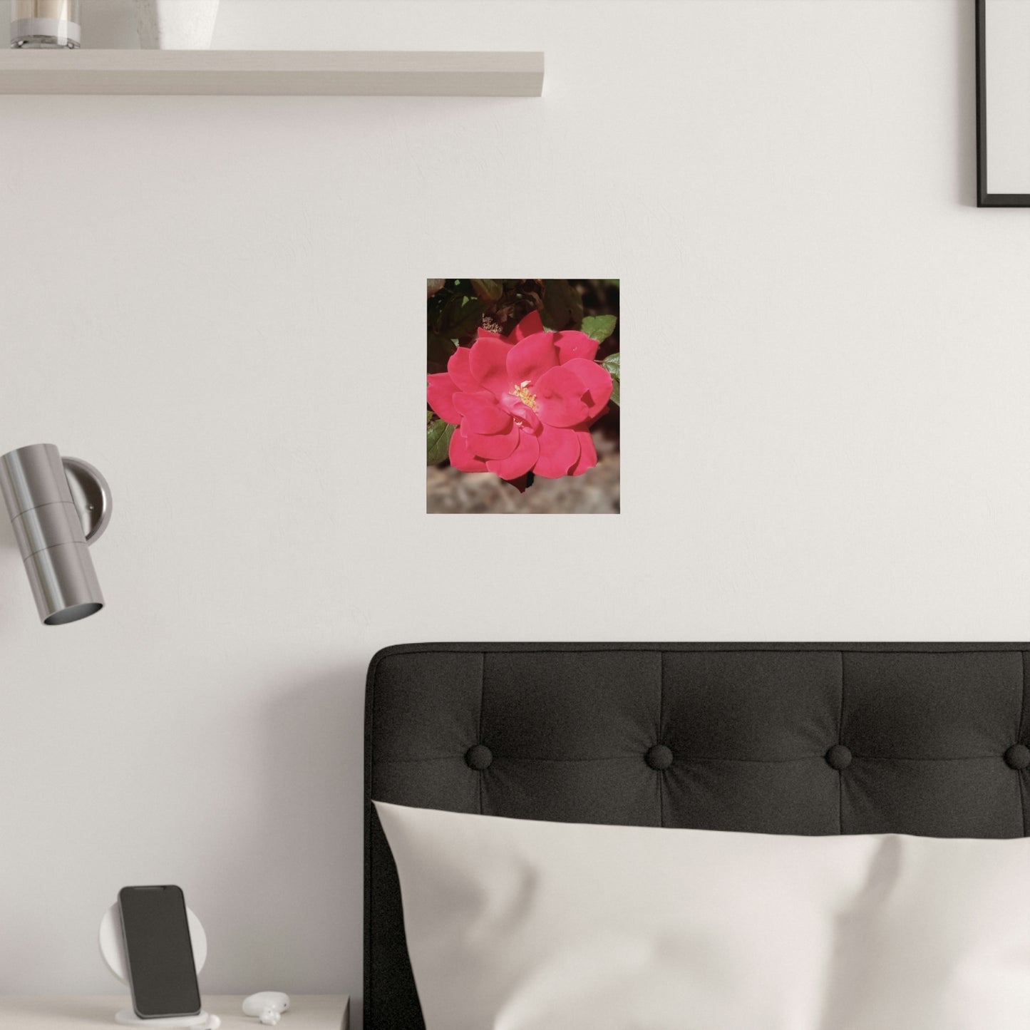 Knockout | Satin Posters (210gsm) | High Bloom Collection | Life By Ortavia