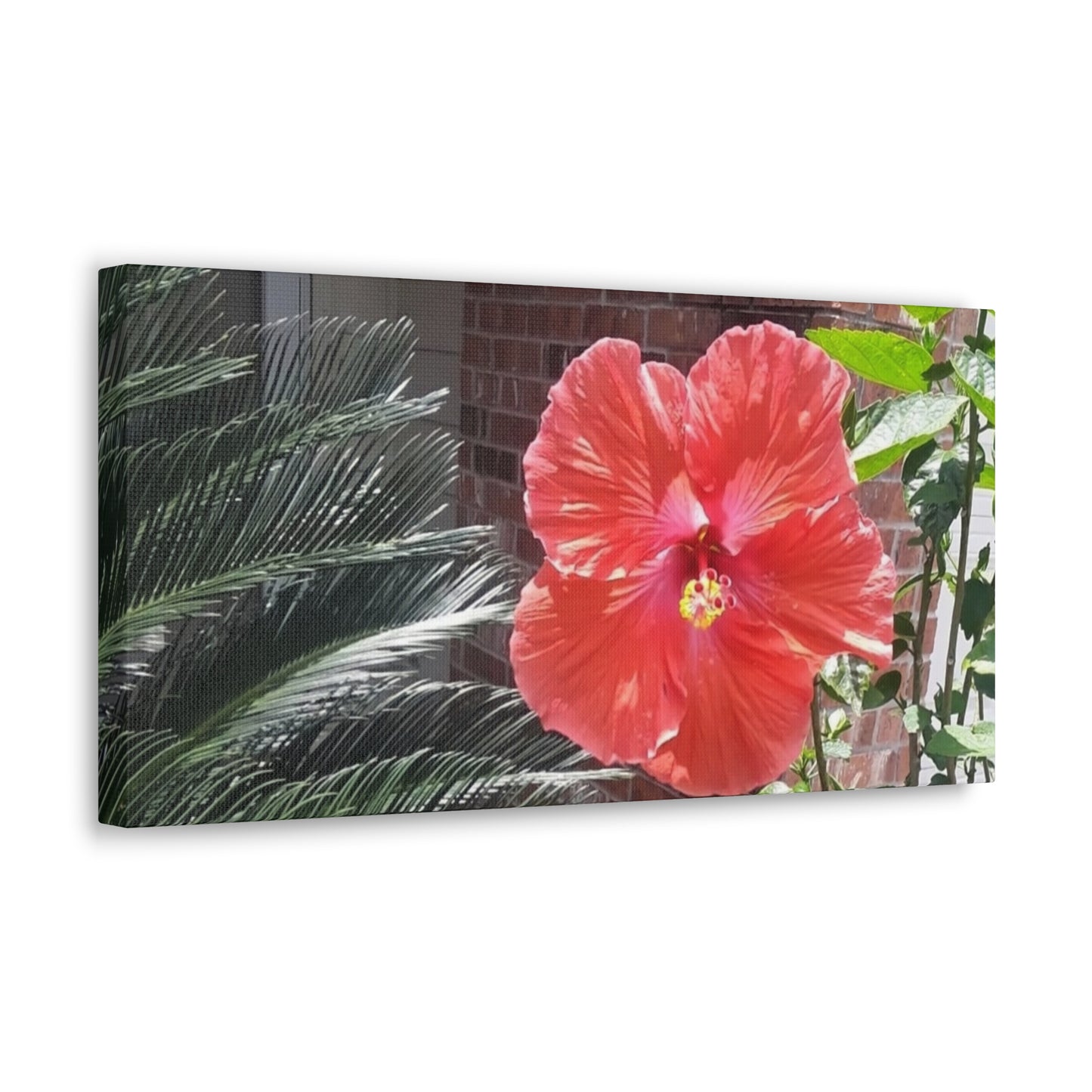 Art Prints & Wall Art, Gallery Canvas with Peach Hibiscus Flower