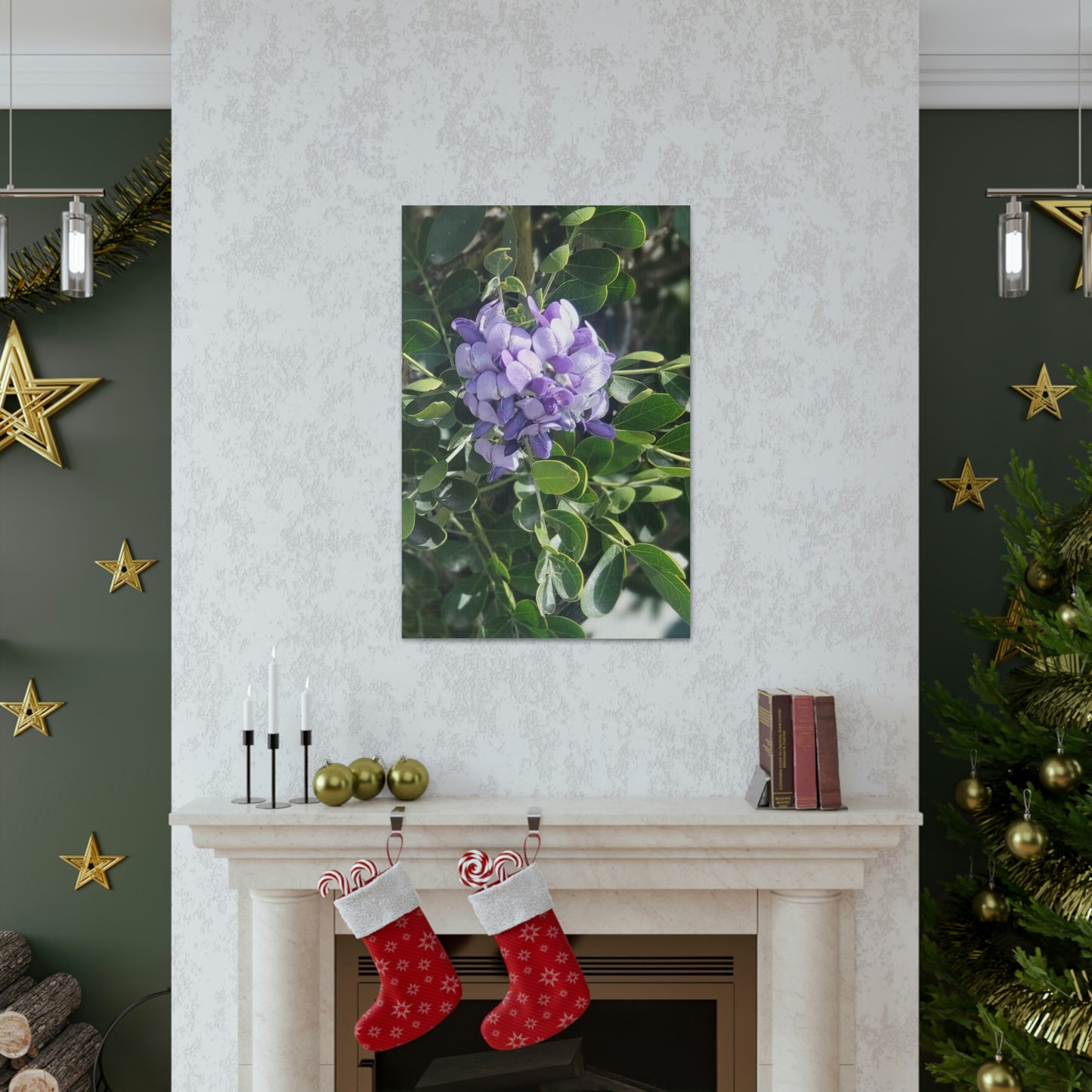 Purple Texas Mountain Laurel | Wall Art Canvas
