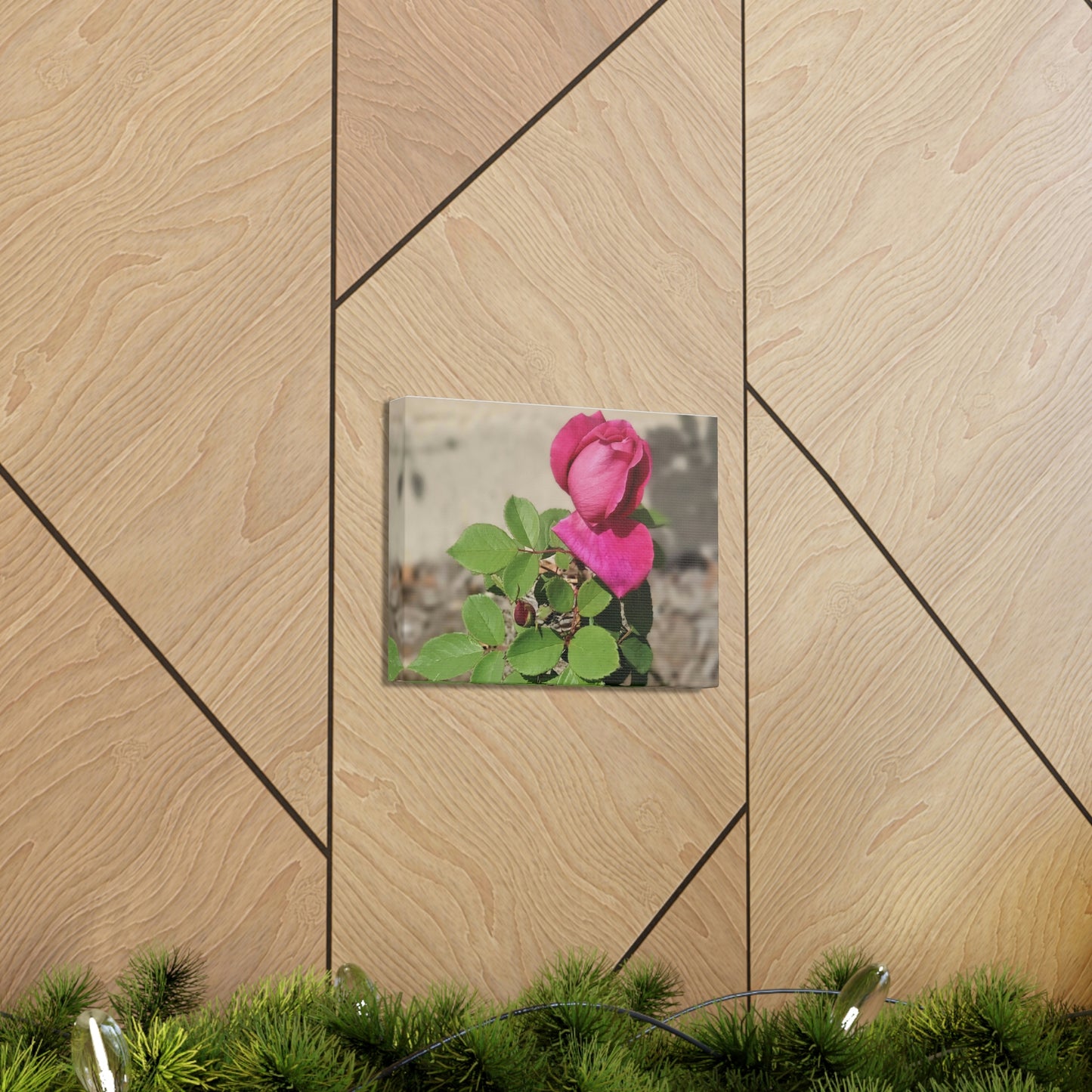 Dear Pink Rosa | High Bloom Collection | Canvas | Life By Ortavia