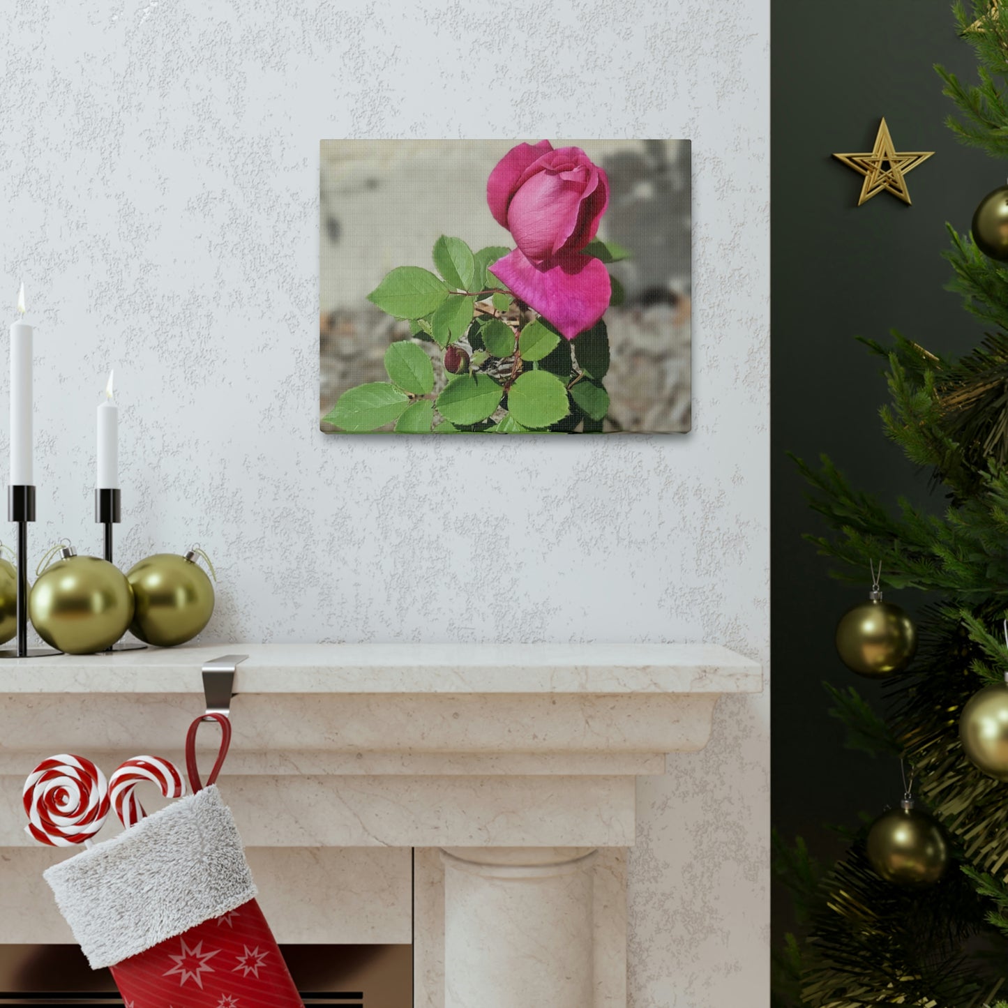 Dear Pink Rosa | High Bloom Collection | Canvas | Life By Ortavia