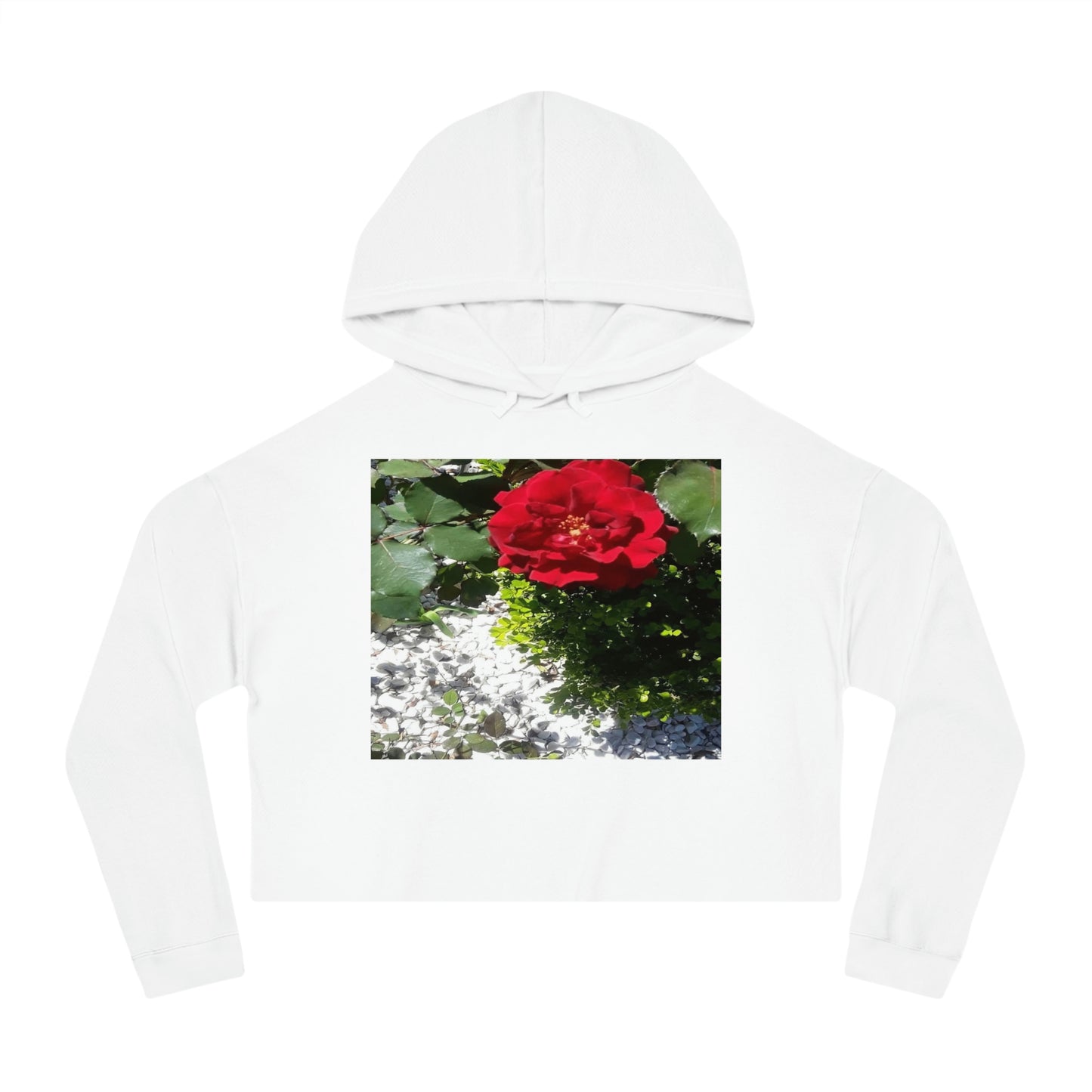 Women’s Cropped Hooded Sweatshirt with Europeana Red Rose Signature Print