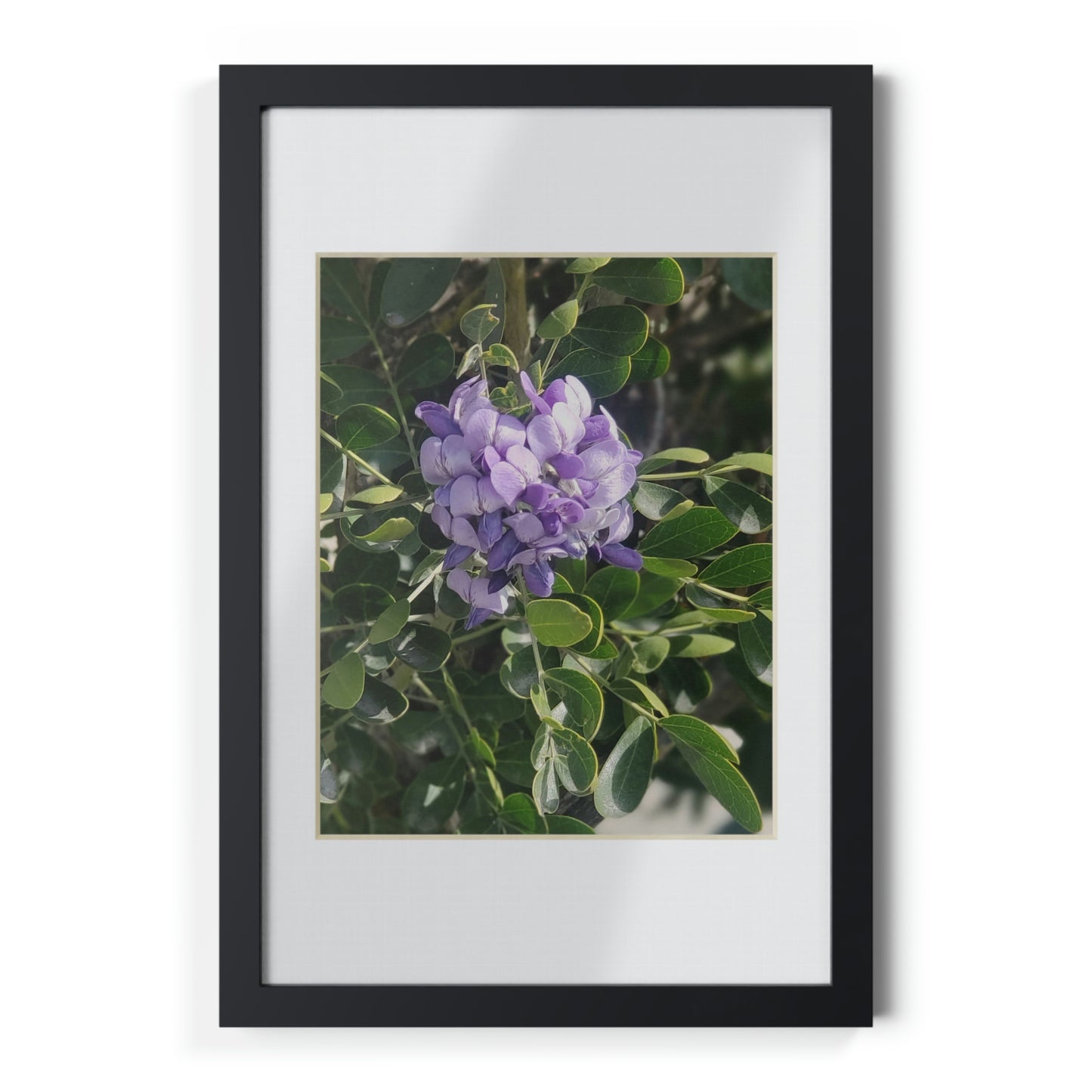 Framed Posters, Black