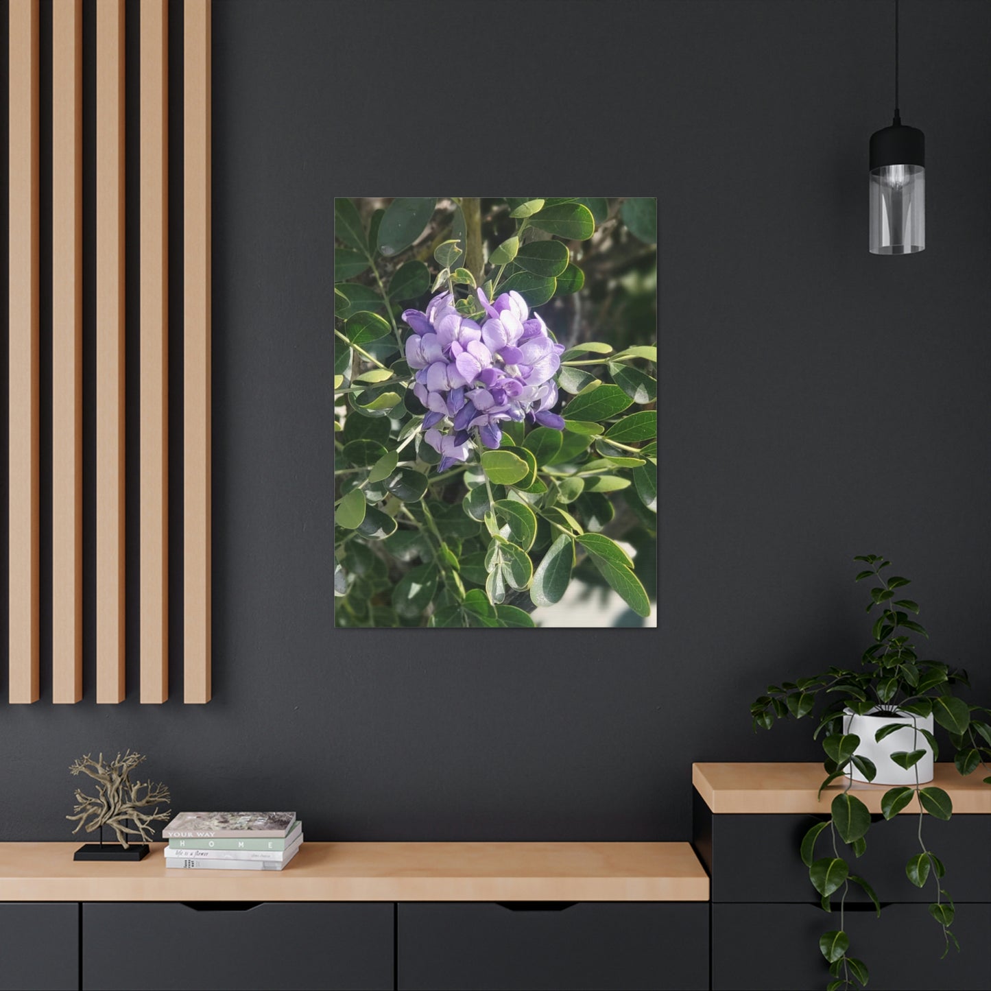 Purple Texas Mountain Laurel | Wall Art Canvas